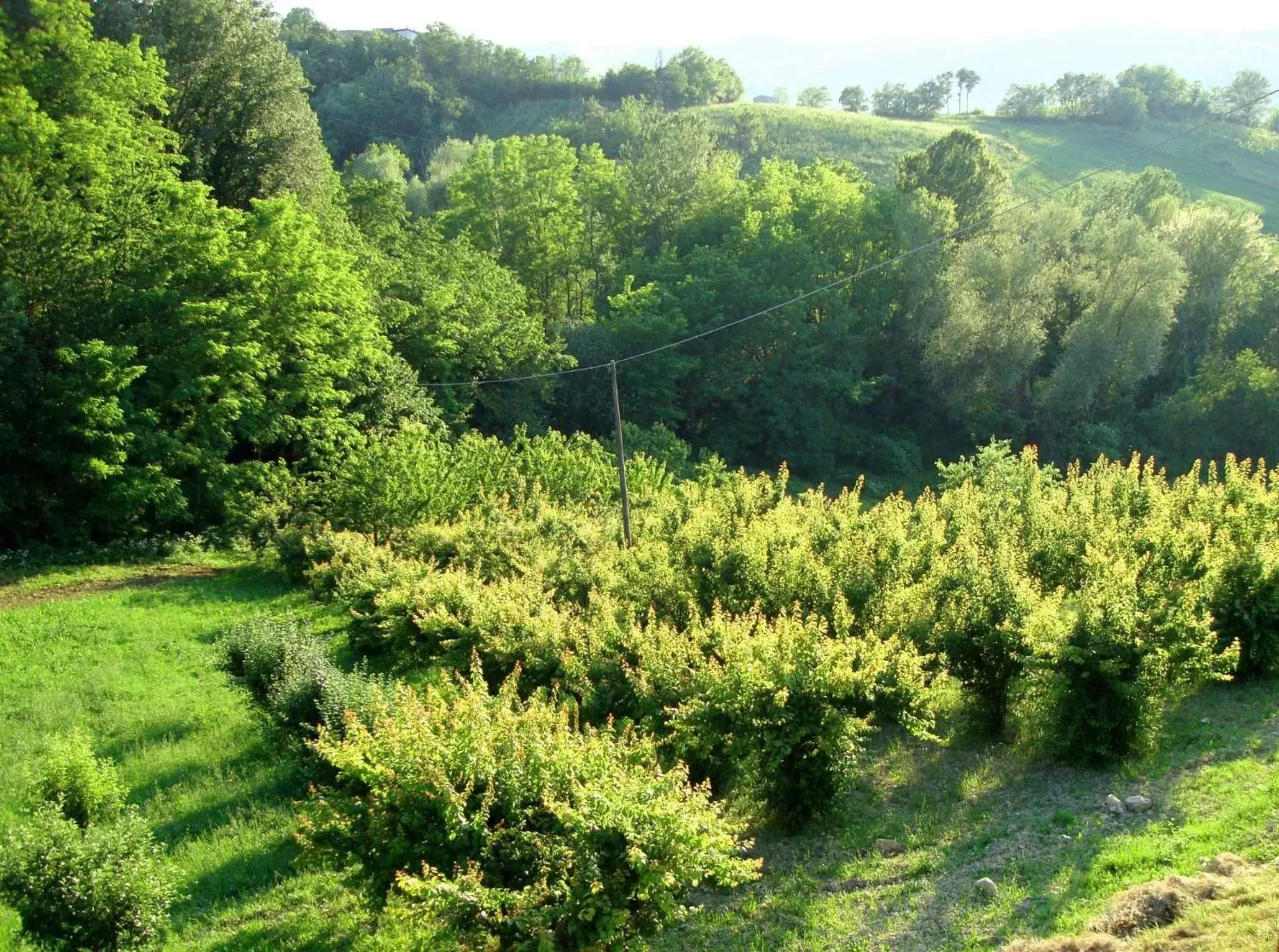 Casa dell' Abbondanza B&B Agriturismo