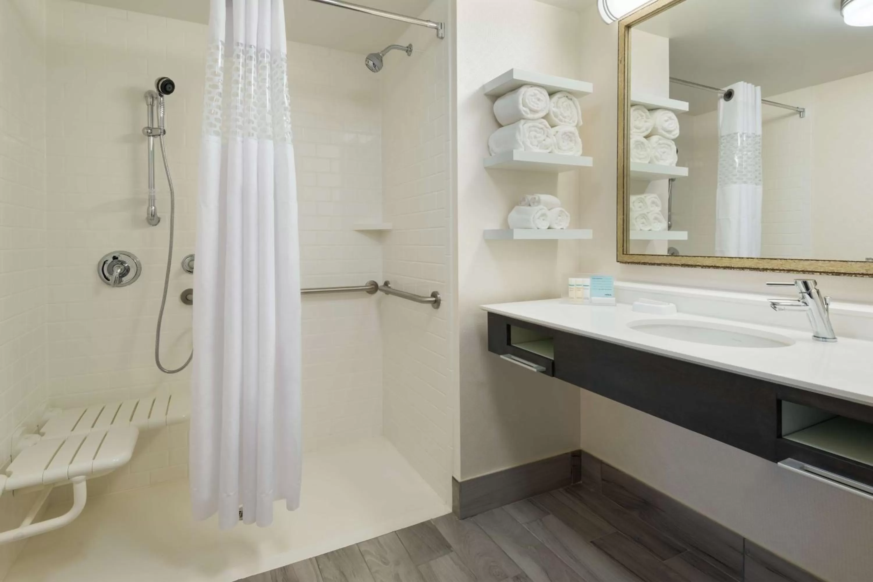 Bathroom in Hampton Inn & Suites Tampa Airport Avion Park Westshore