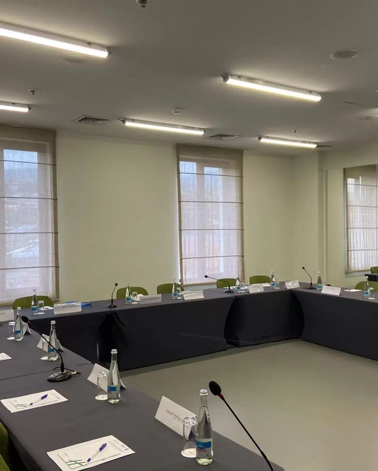 Meeting/conference room in Holiday Inn Telavi, an IHG Hotel