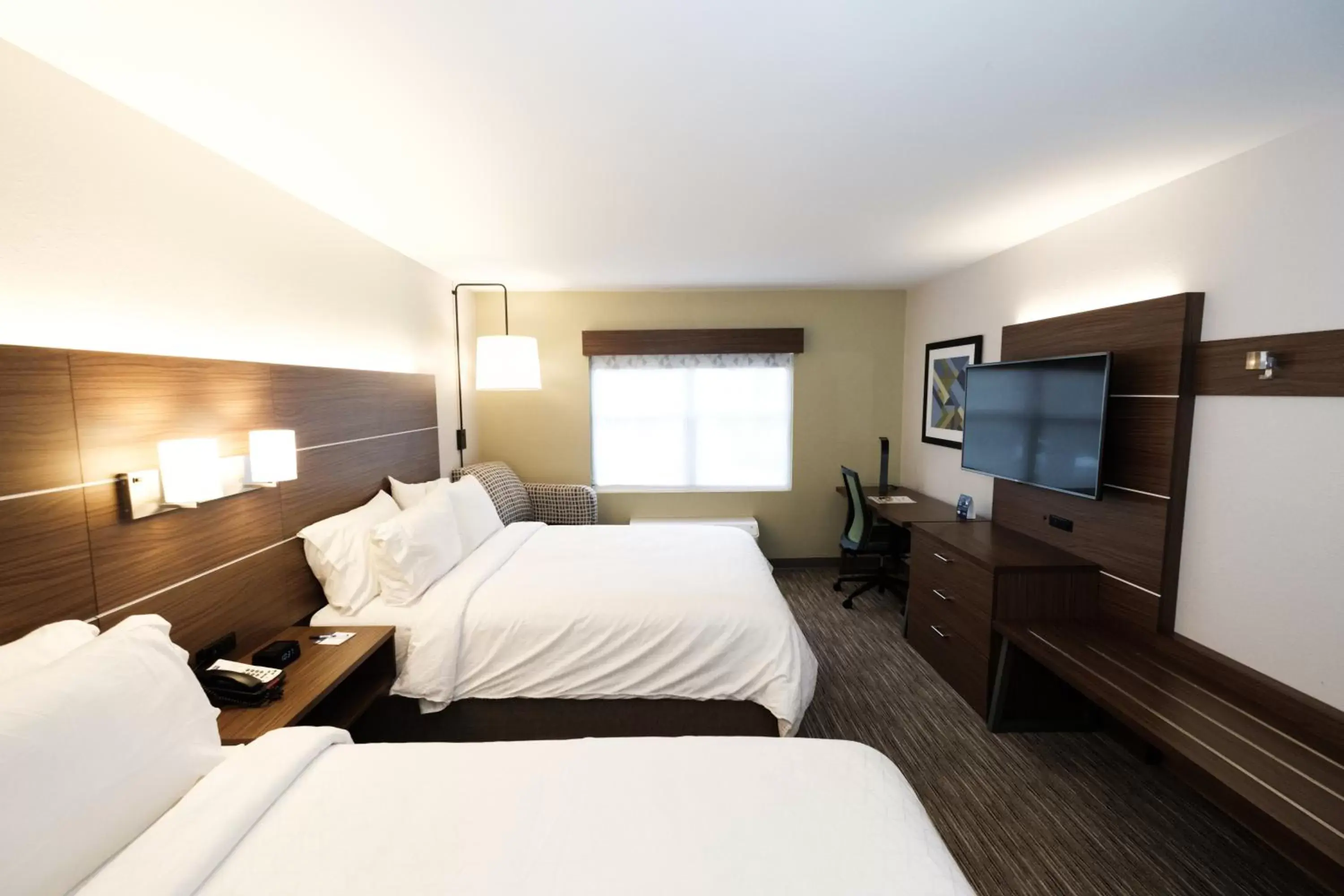 TV and multimedia in Holiday Inn Express Atlanta - Northeast I-85 - Clairmont Road, an IHG Hotel