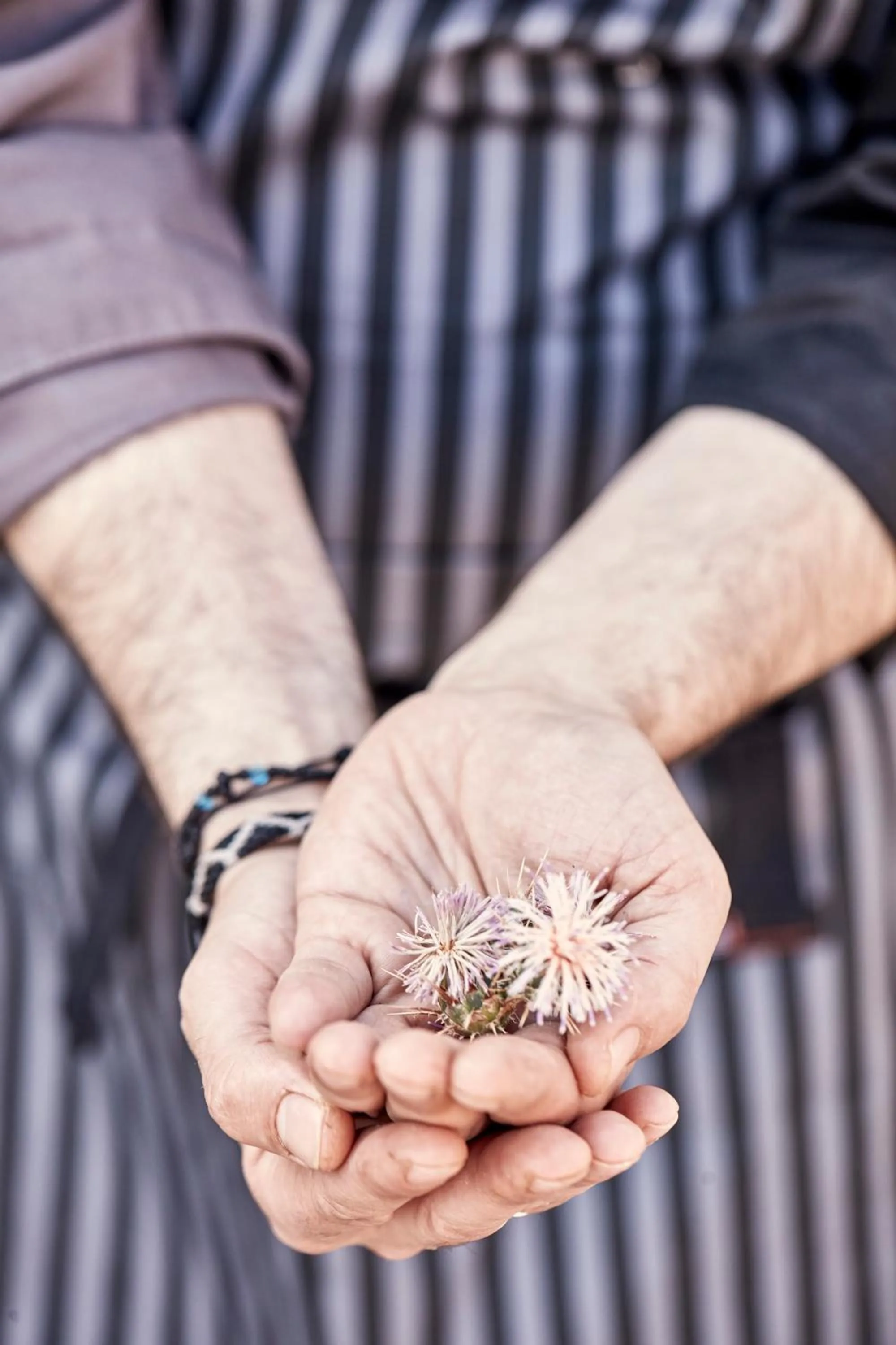 Staff in Archipelagos Hotel - Small Luxury Hotels of the World