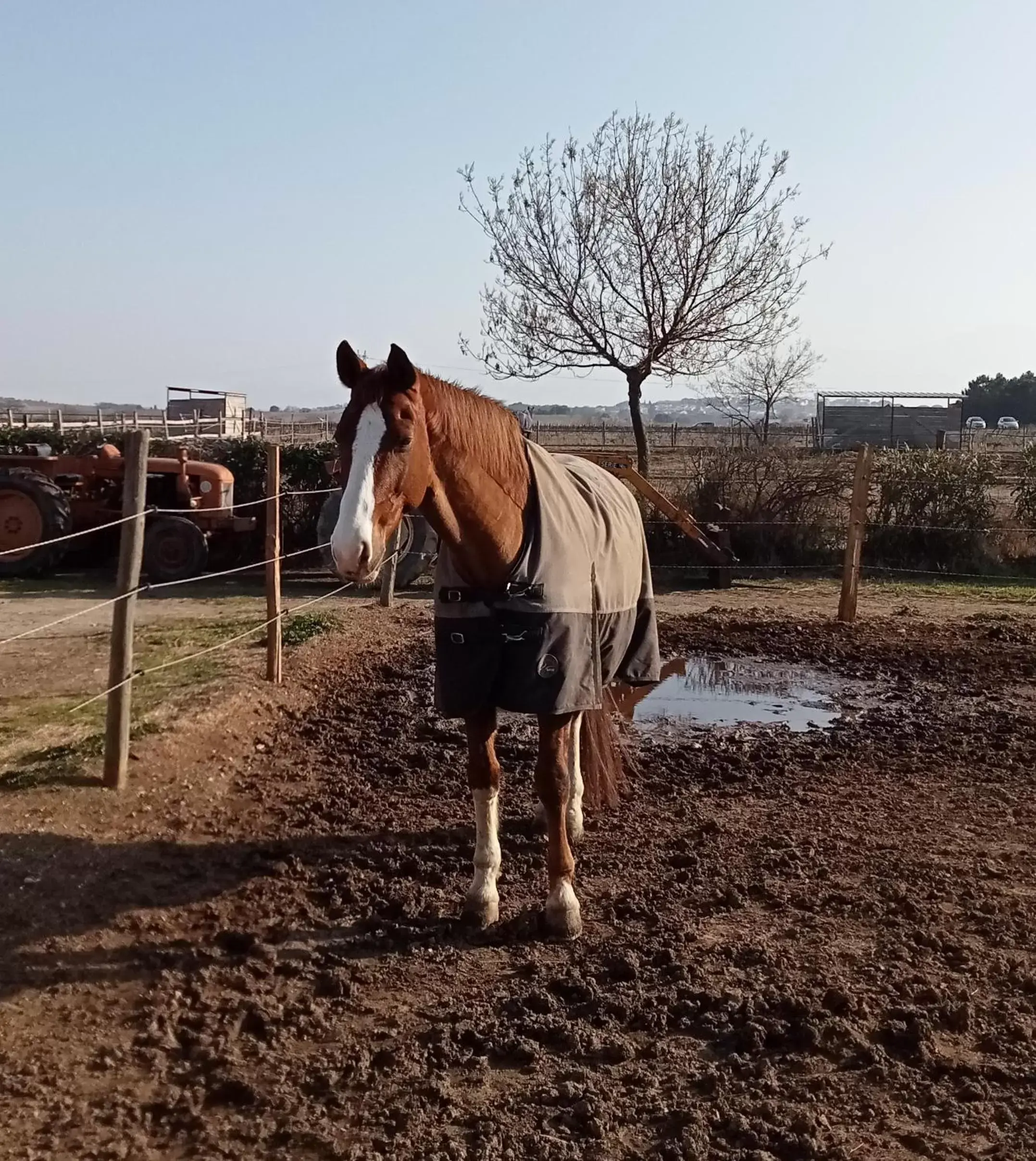 Fishing, Horseback Riding in Mas Palegry Suite avec vue sur jardin