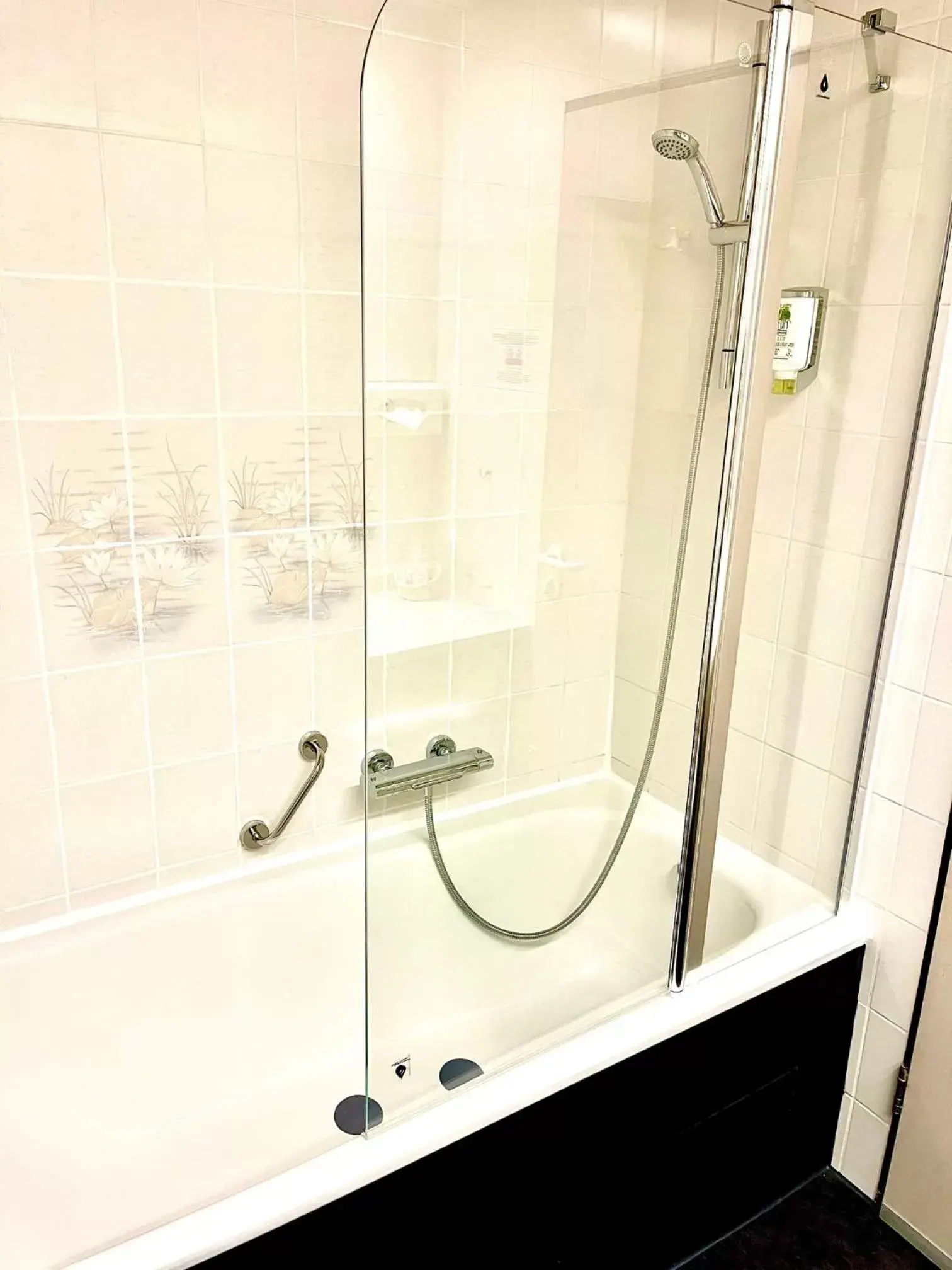 Shower, Bathroom in Hotel Schiller