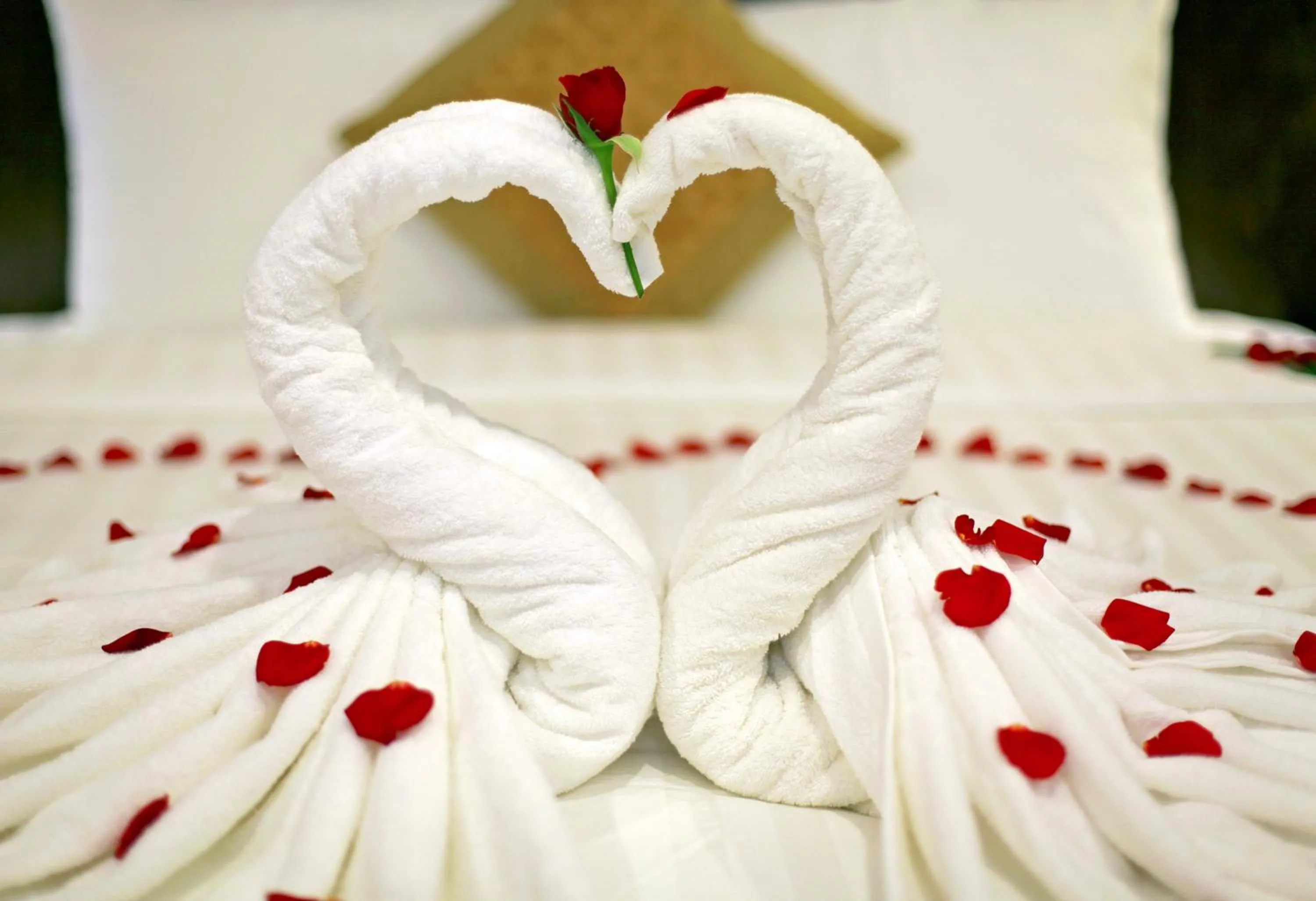 Bed in Kings Hotel Dalat