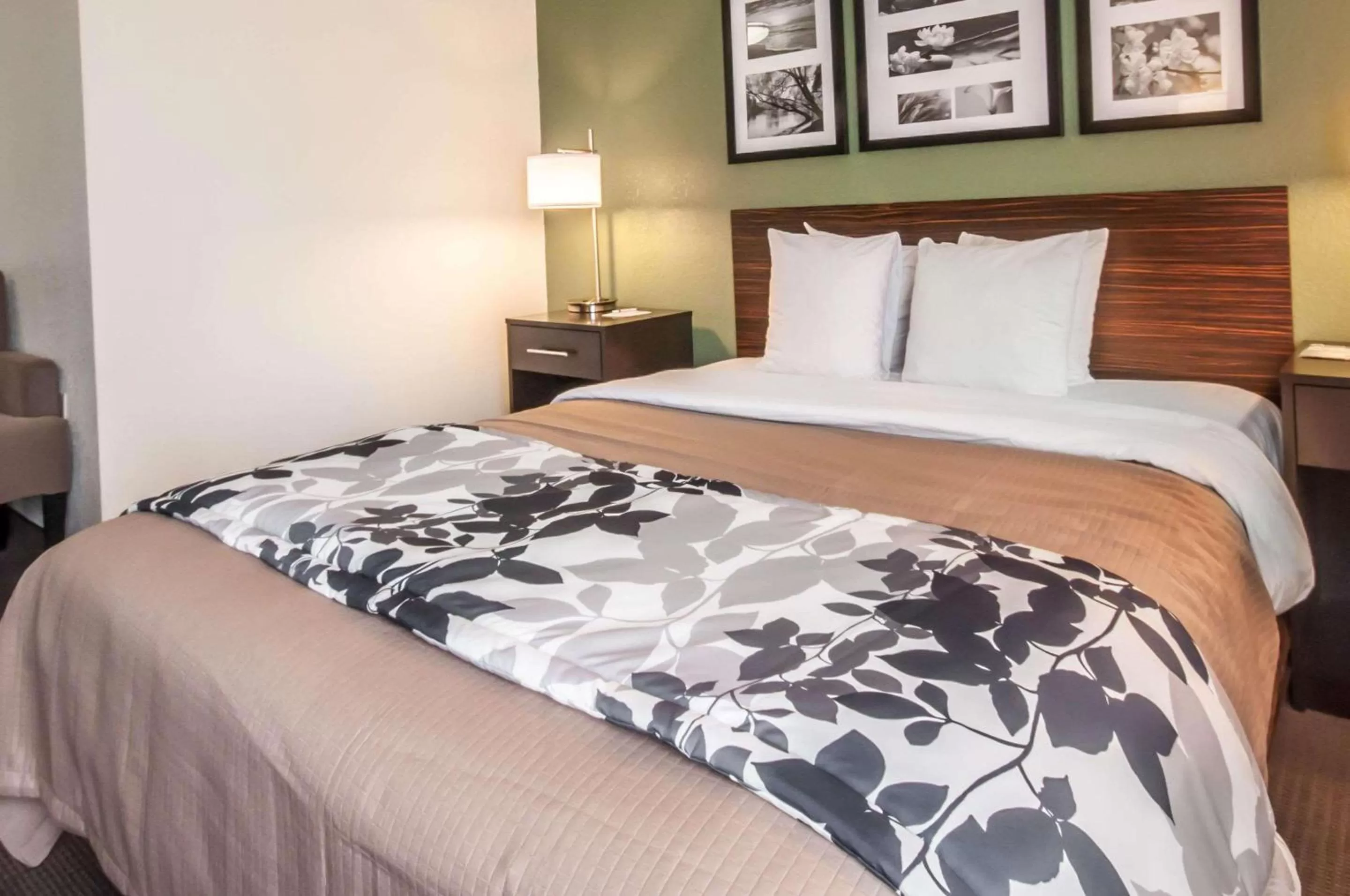 Photo of the whole room, Bed in Sleep Inn Cinnaminson - Philadelphia East