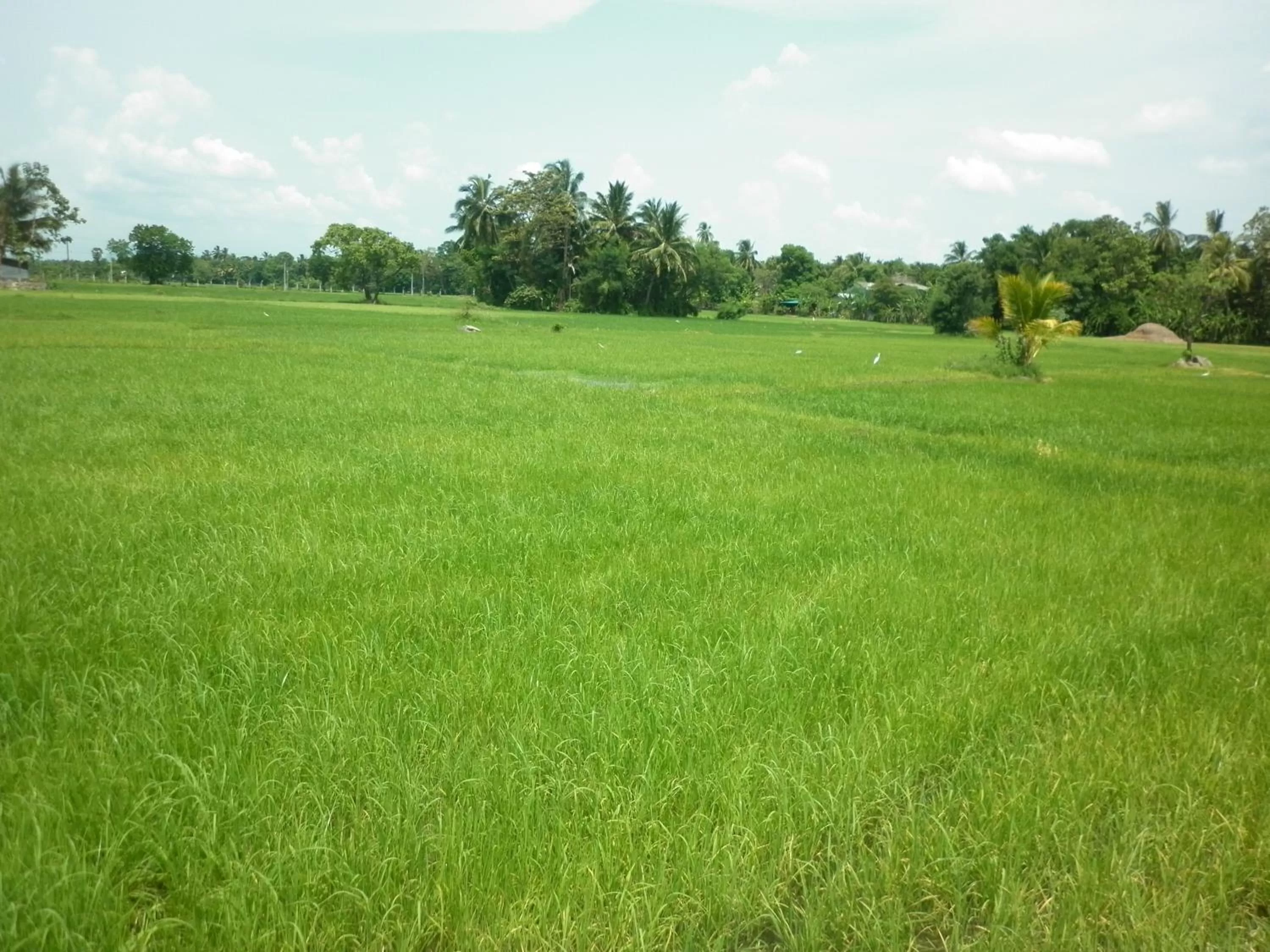 Day in Hotel Ancient Village