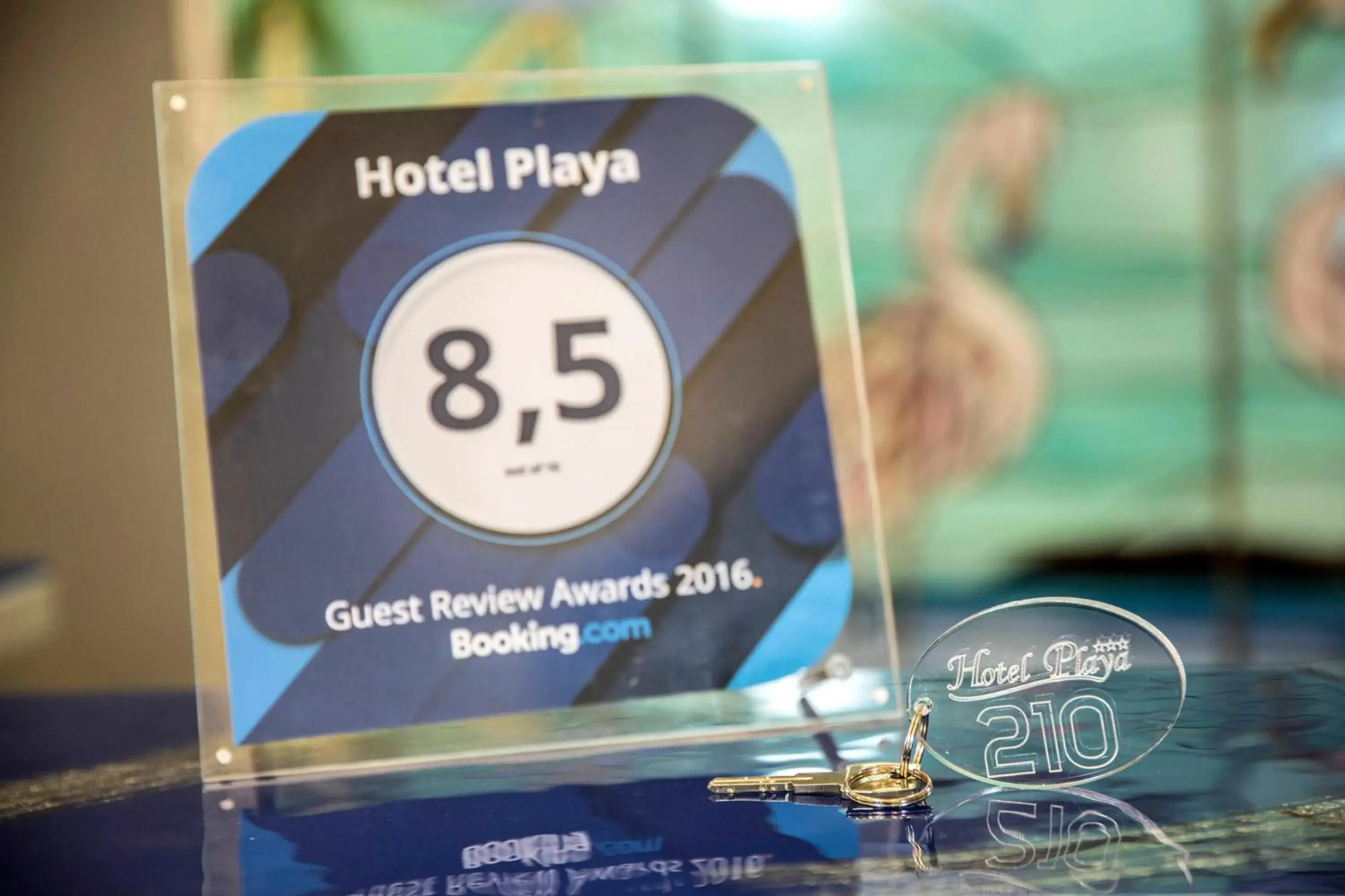 Decorative detail, Logo/Certificate/Sign/Award in Hotel Playa