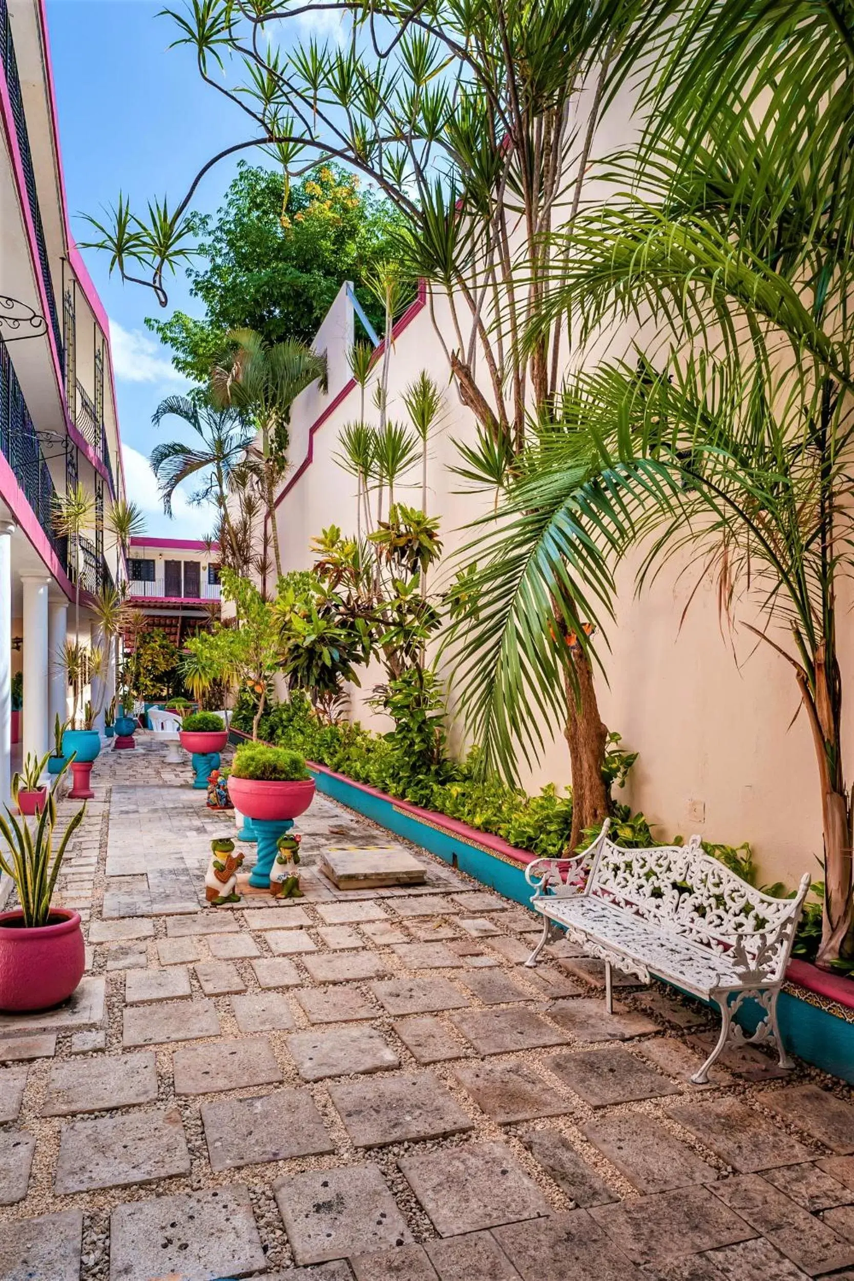 Garden in Hotel San Juan Mérida