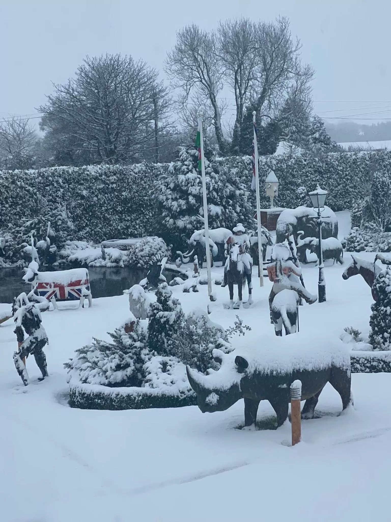 Garden in The Hilltop Haven