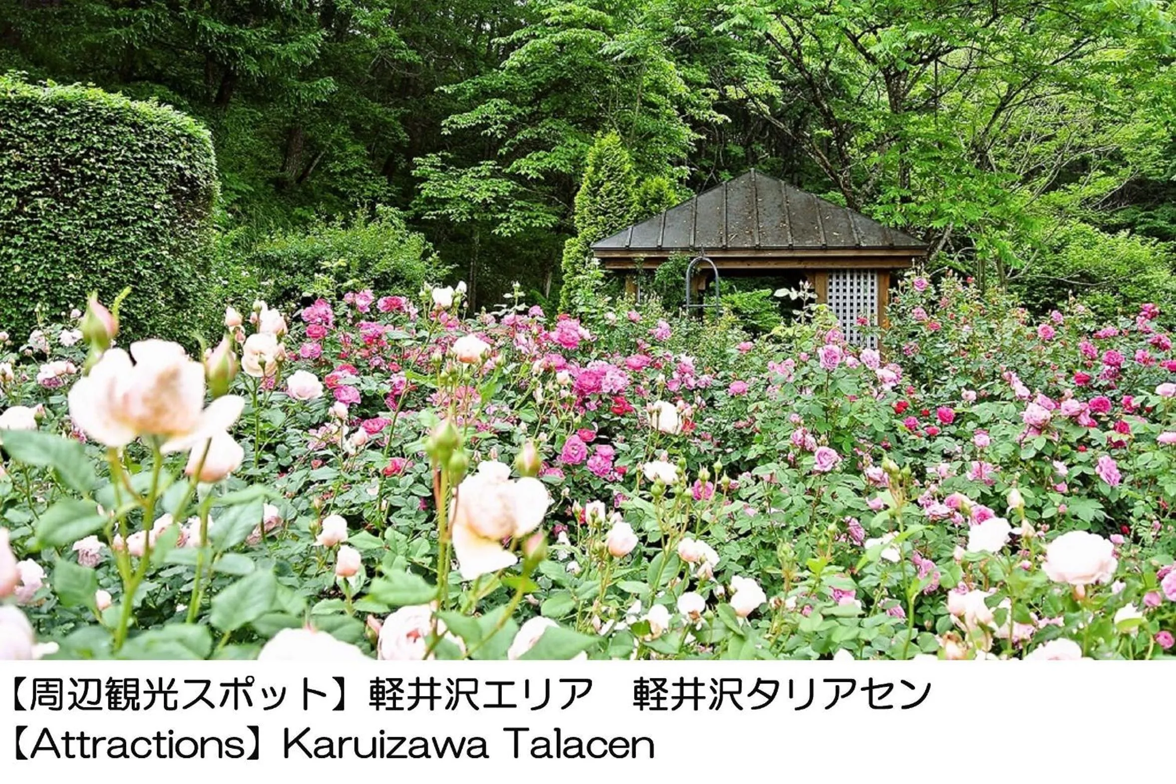 Nearby landmark in Karuizawakurabu Hotel 1130 Hewitt Resort