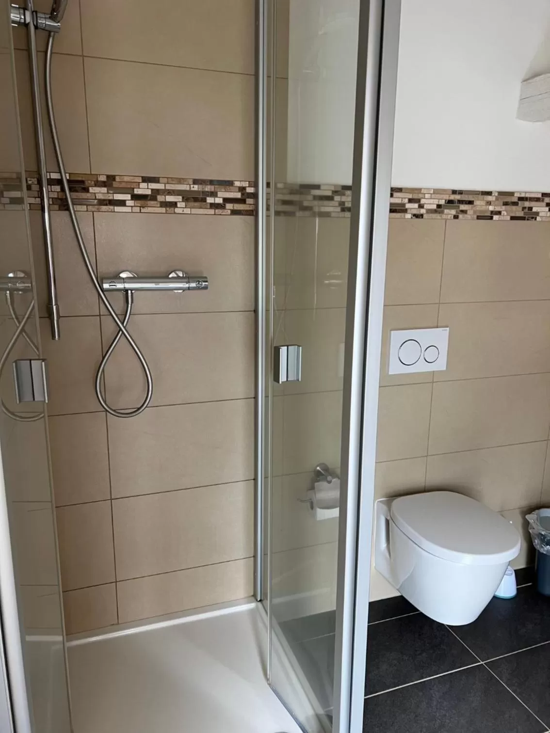 Toilet in Lindenau Inn