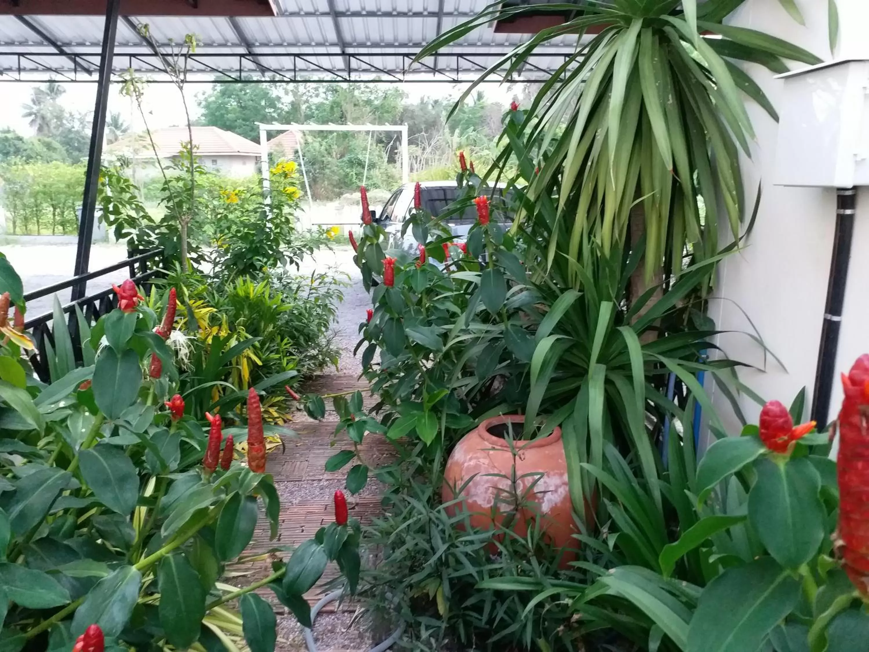 Natural landscape in Fancy Carp Resort