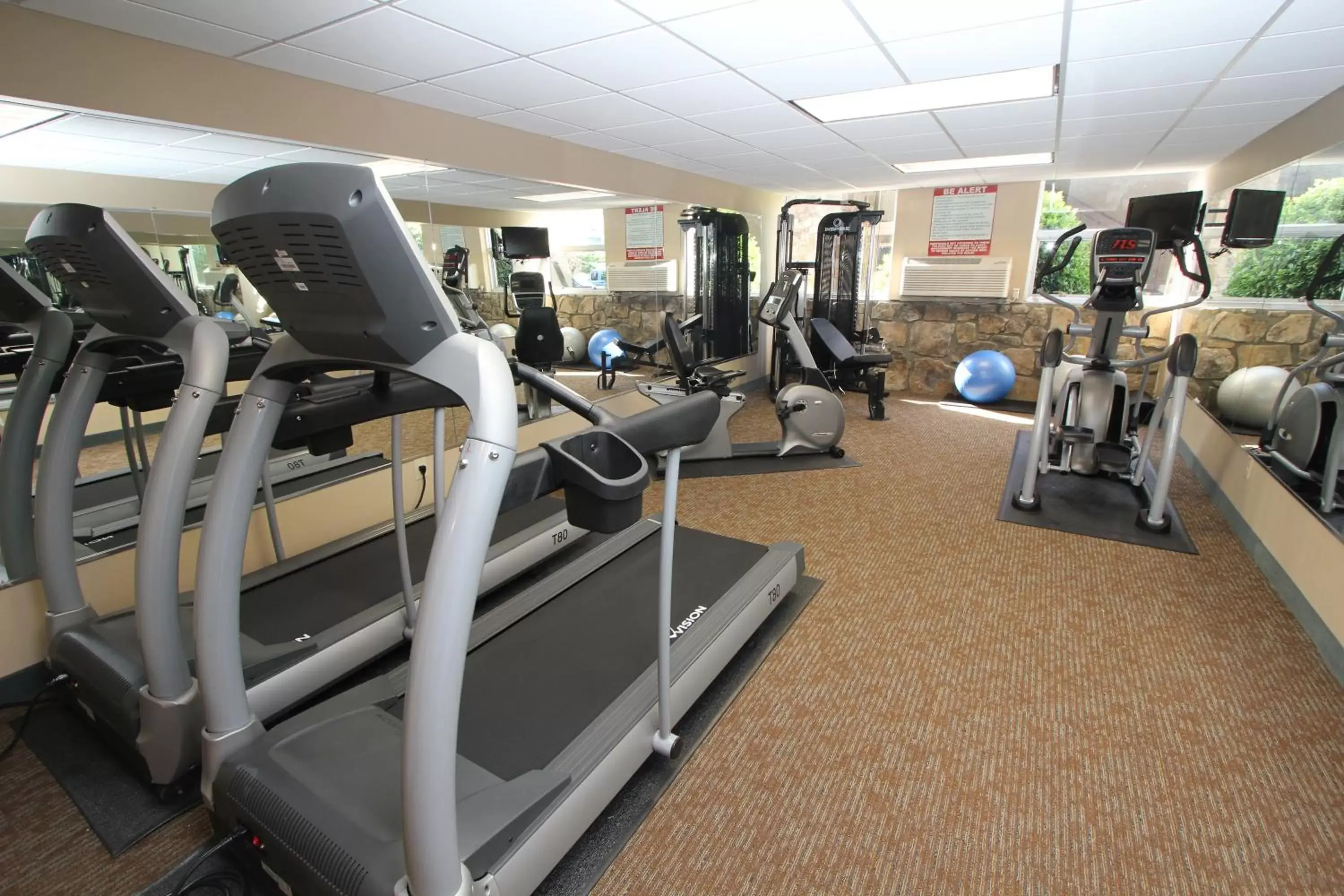 Fitness centre/facilities, Fitness Center/Facilities in Greystone Lodge on the River