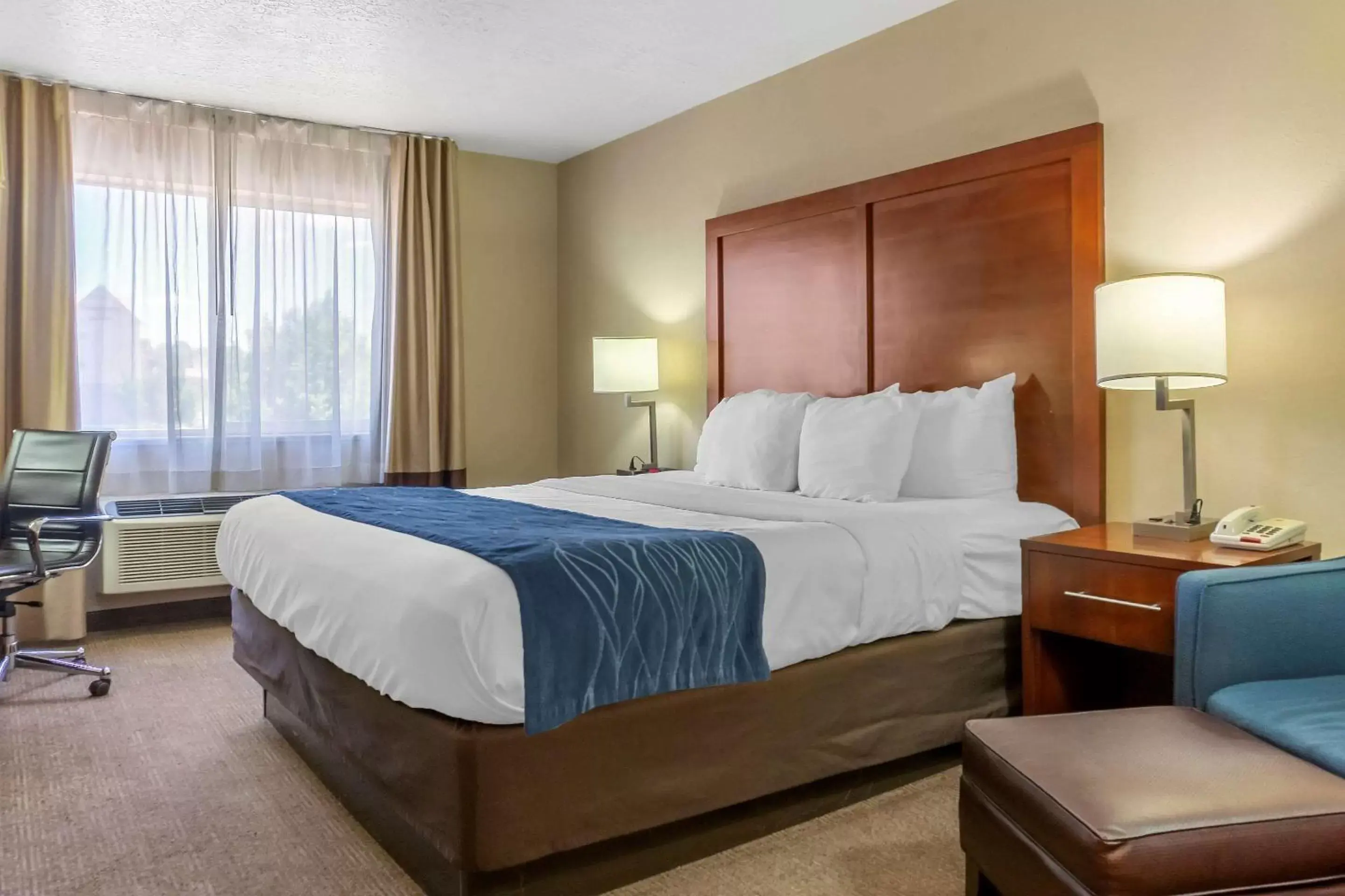 Photo of the whole room, Bed in Comfort Inn Albuquerque Airport