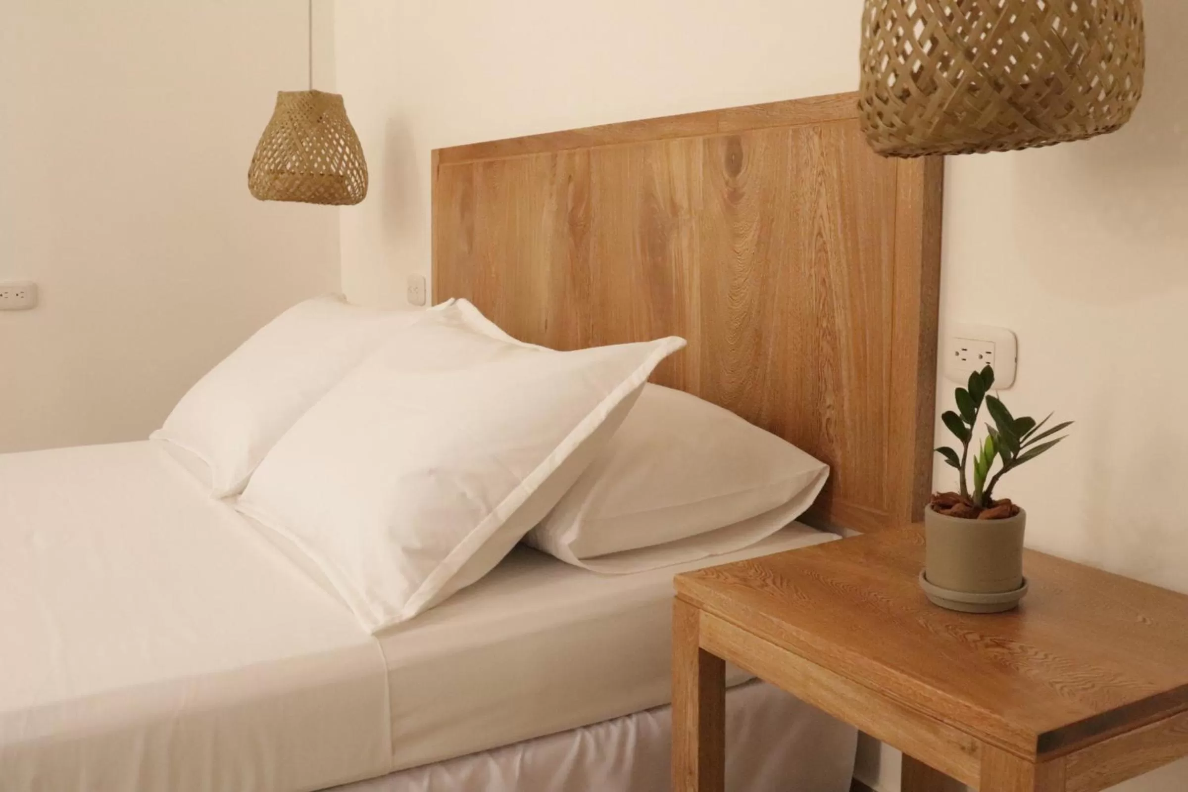 Standard Double Room in Hotel Centro Monteria