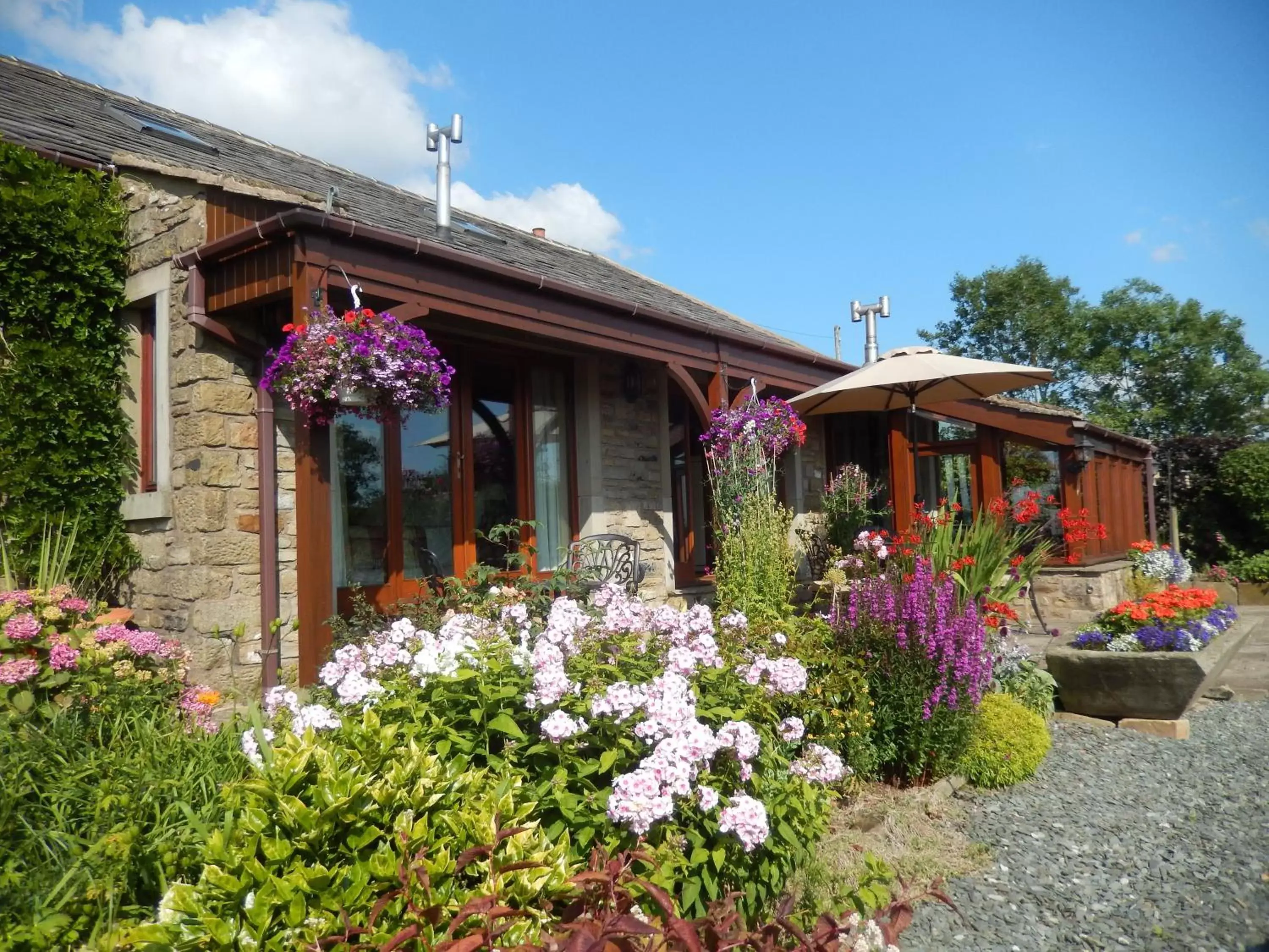 Garden, Property Building in Moor View