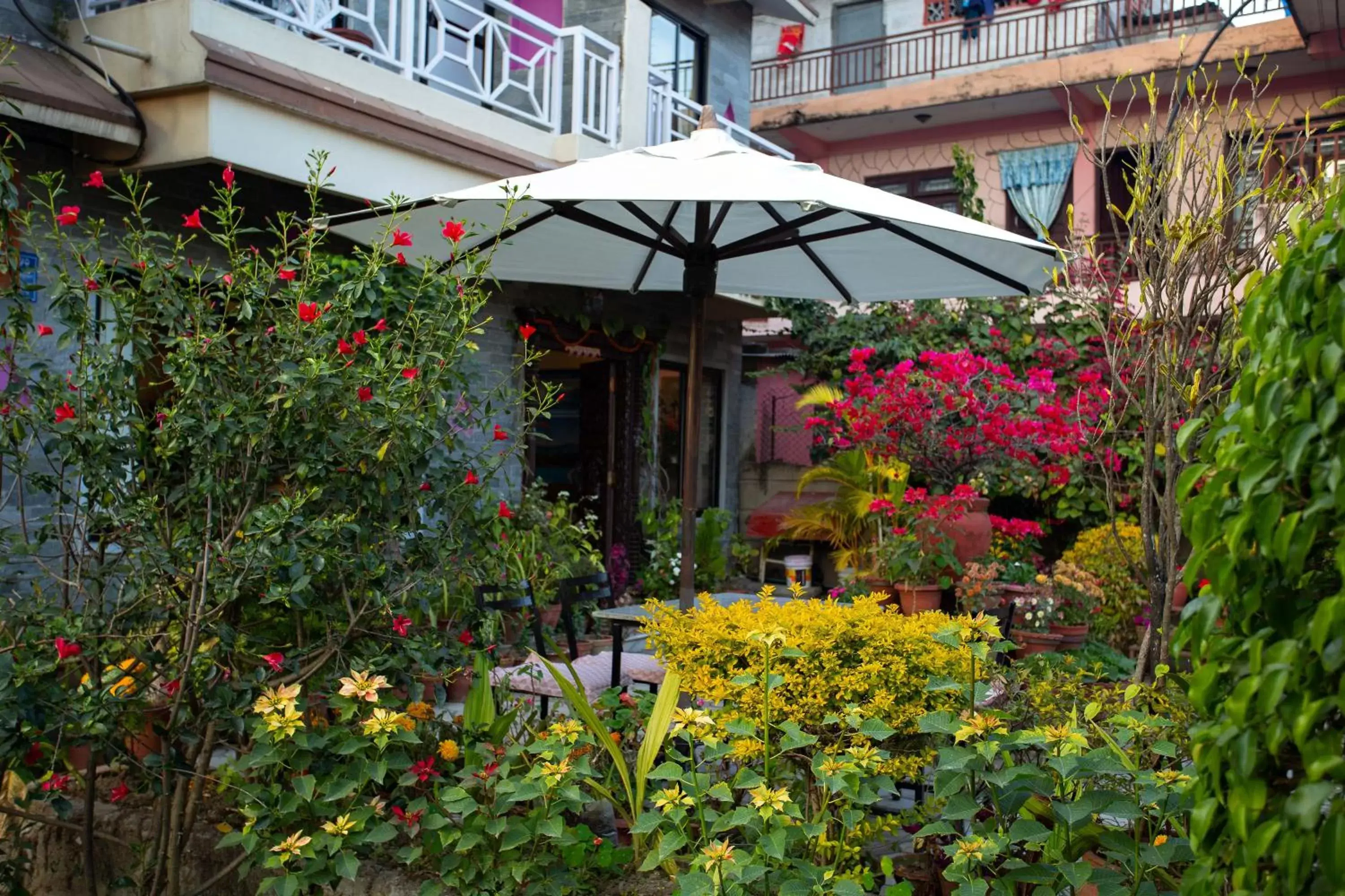 Patio in Hotel Orchid