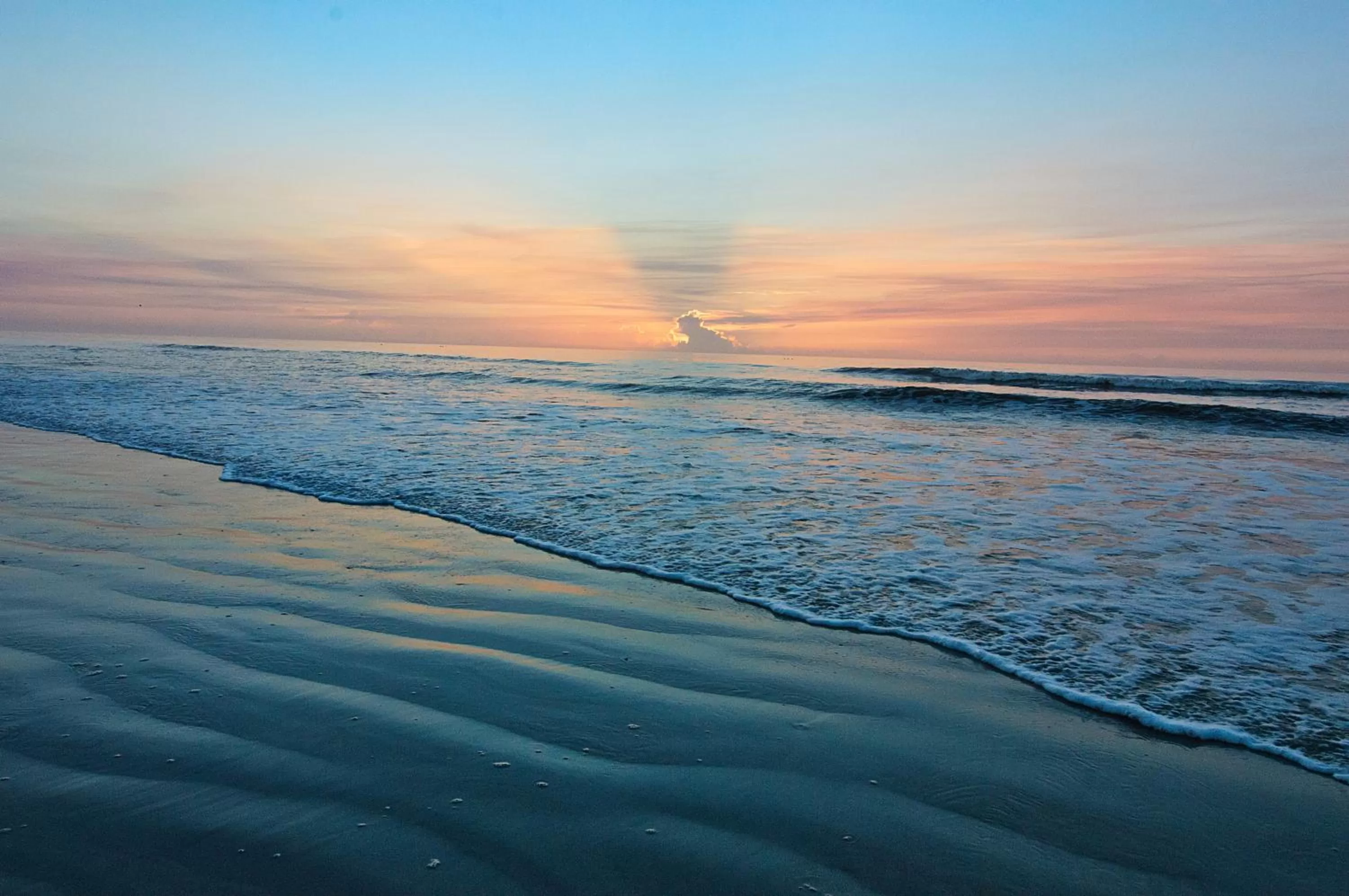 Natural landscape in Guy Harvey Resort on Saint Augustine Beach