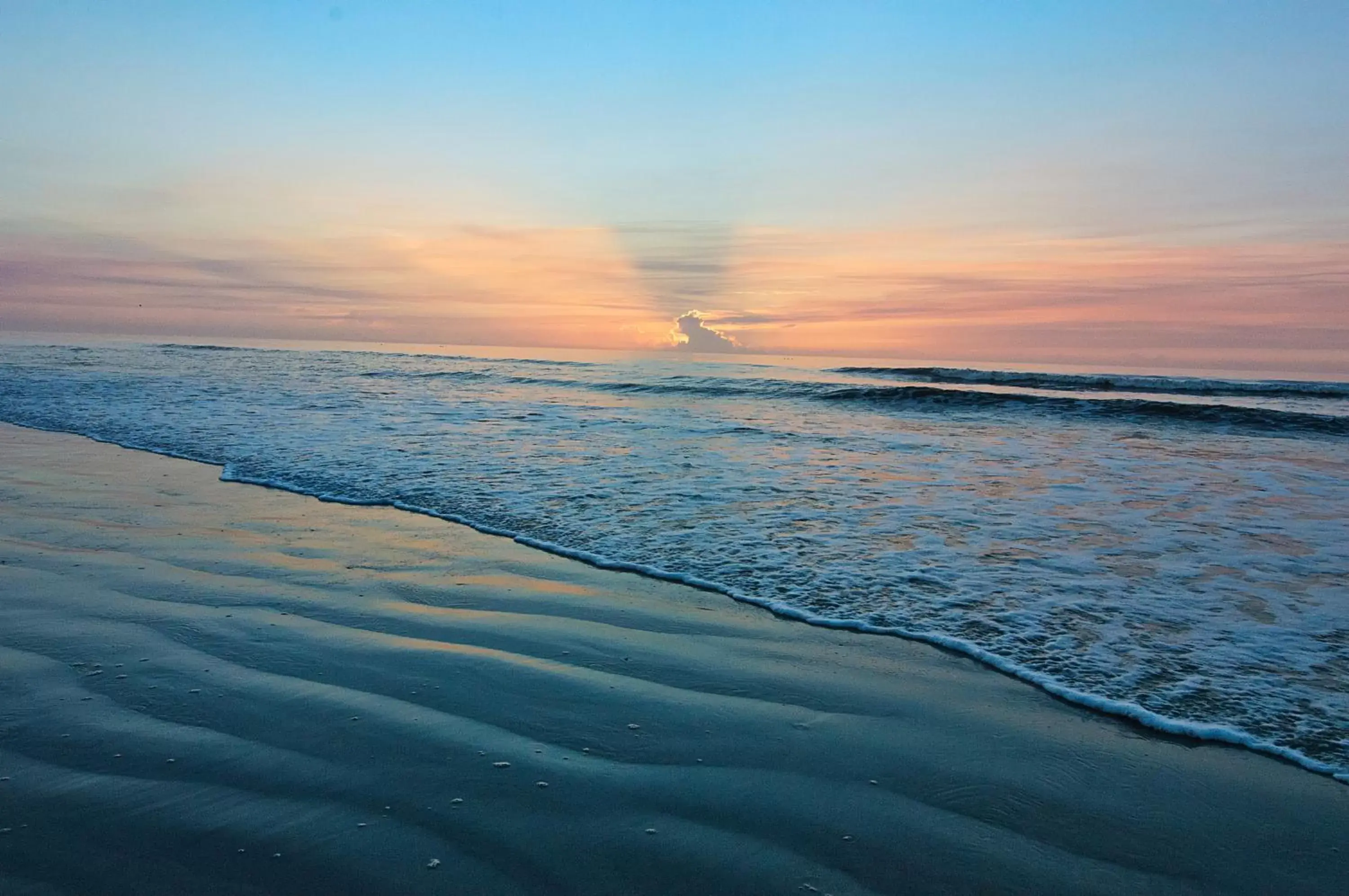 Natural landscape, Beach in Guy Harvey Resort on Saint Augustine Beach