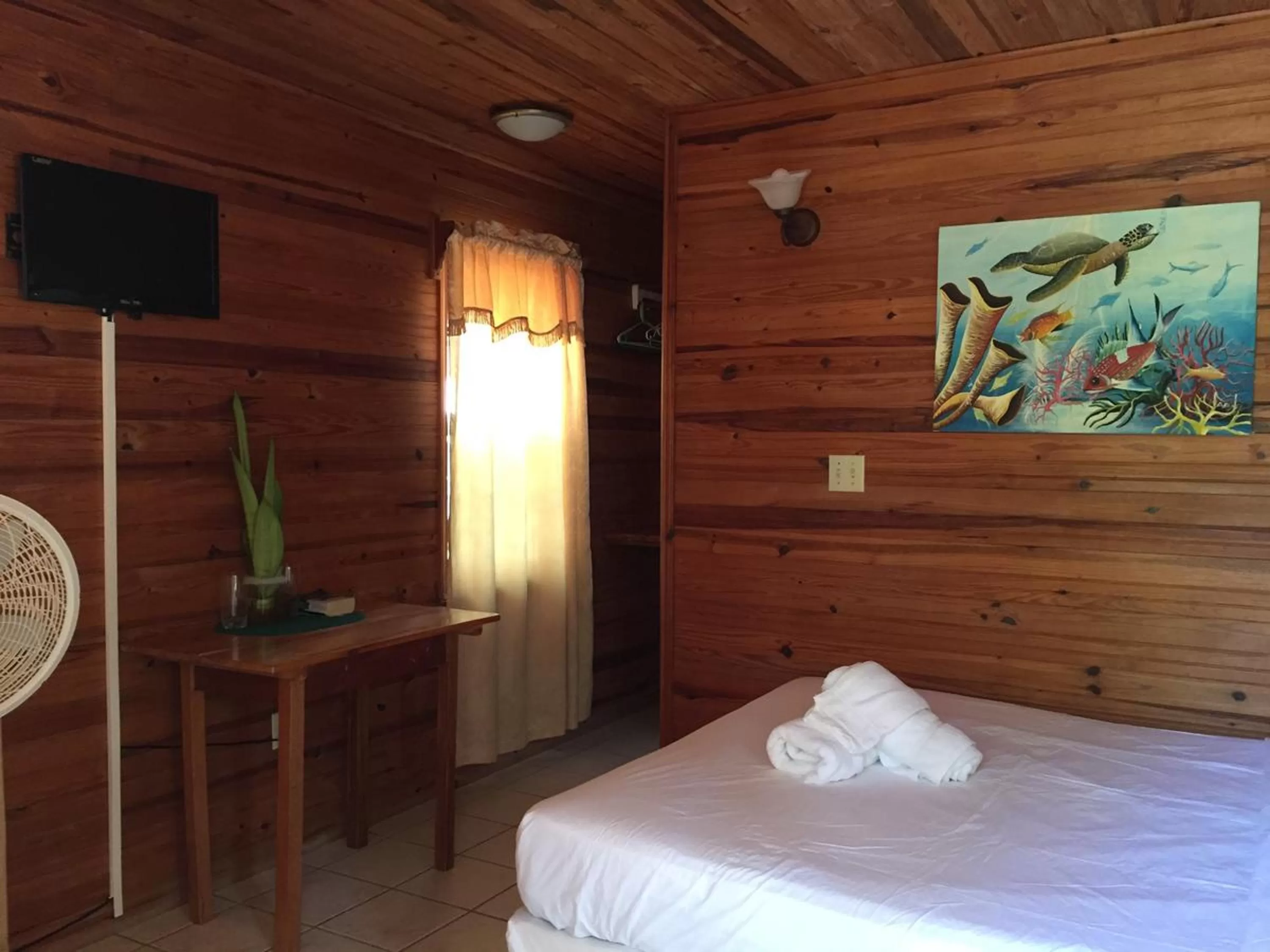 Photo of the whole room, Bed in Blue Wave Guest House
