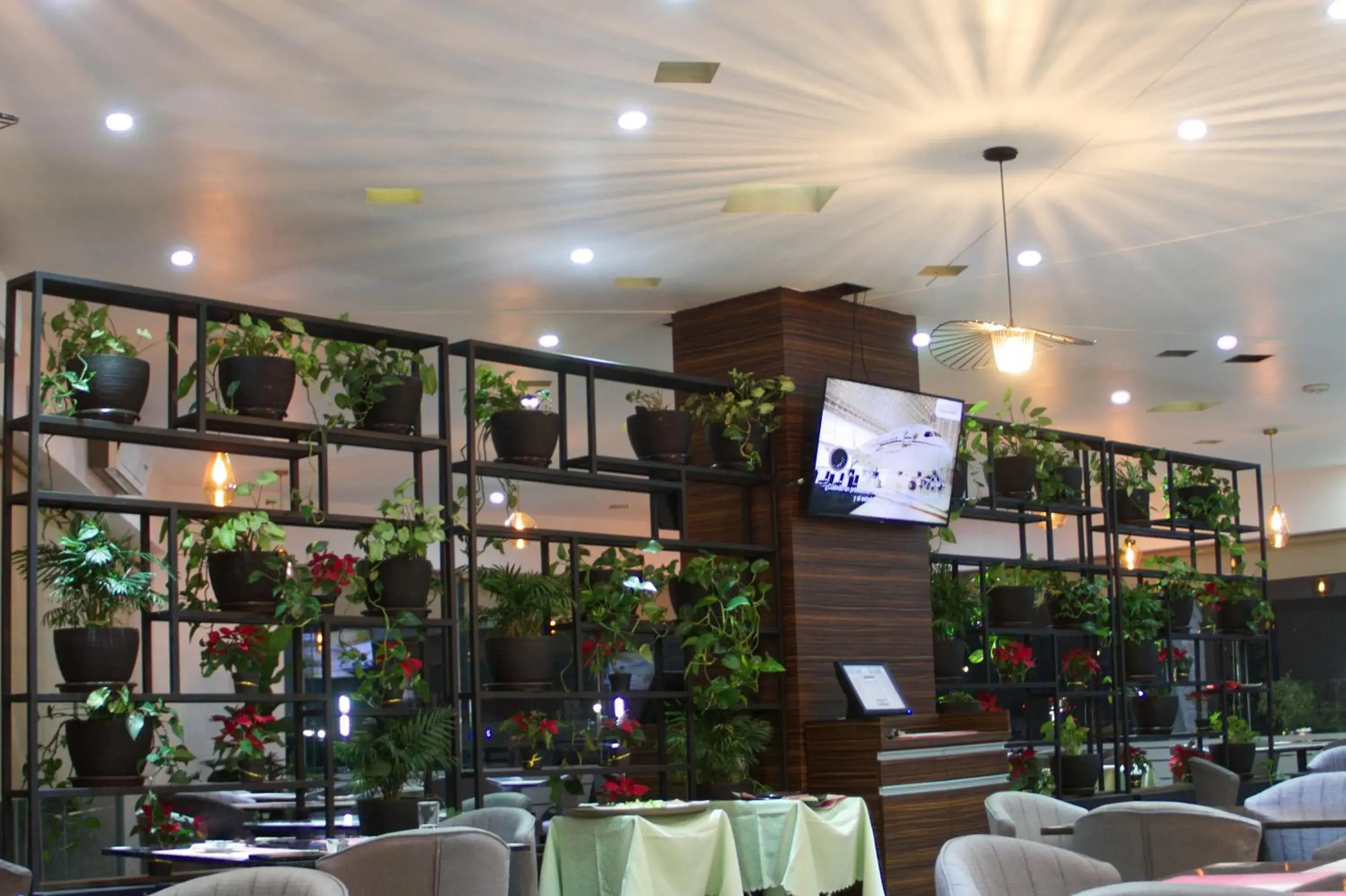 Restaurant/Places to Eat in Domun Hotel