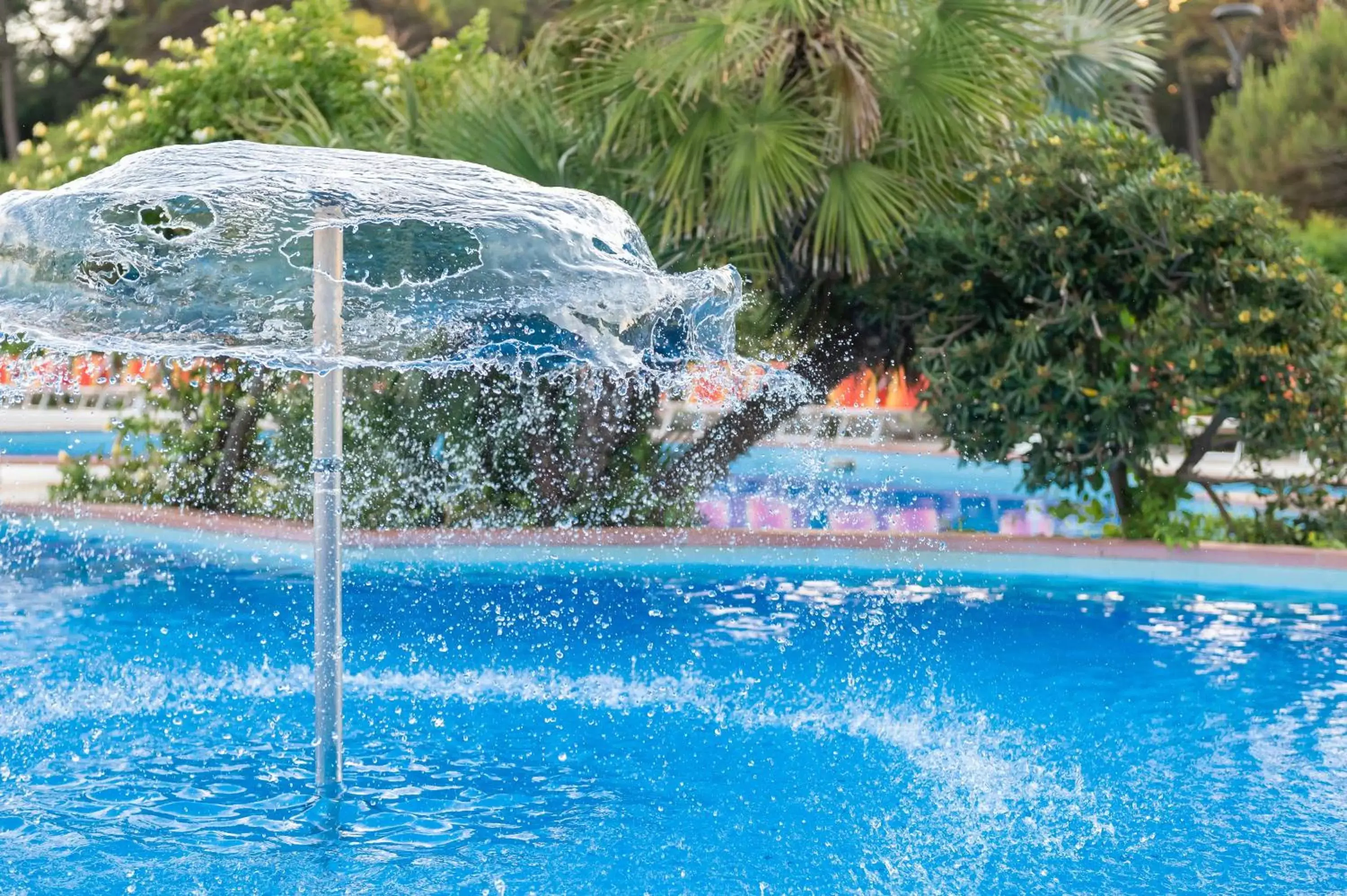 Swimming Pool in Hotel Ausonia