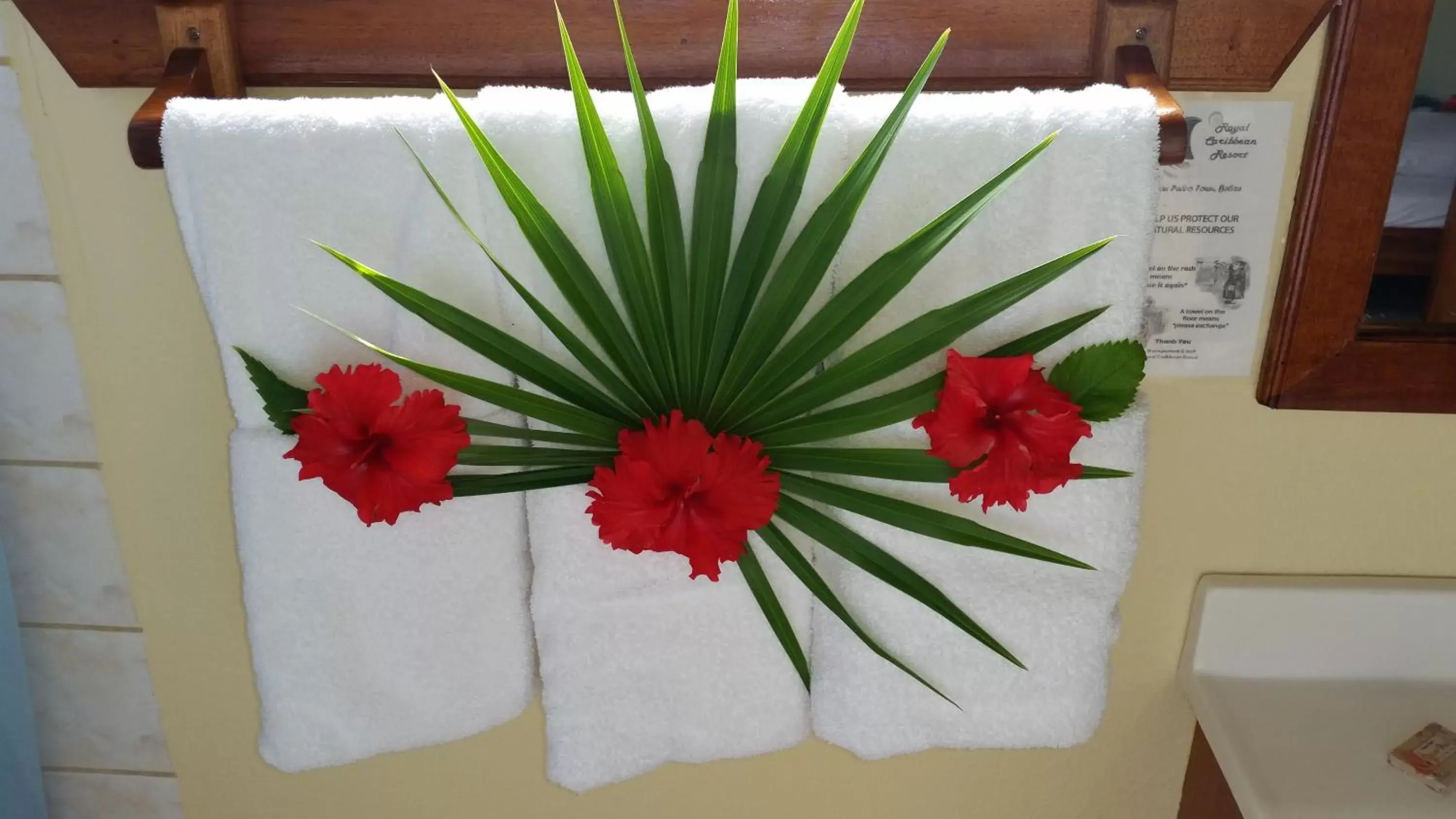 Bathroom in Royal Caribbean Resort