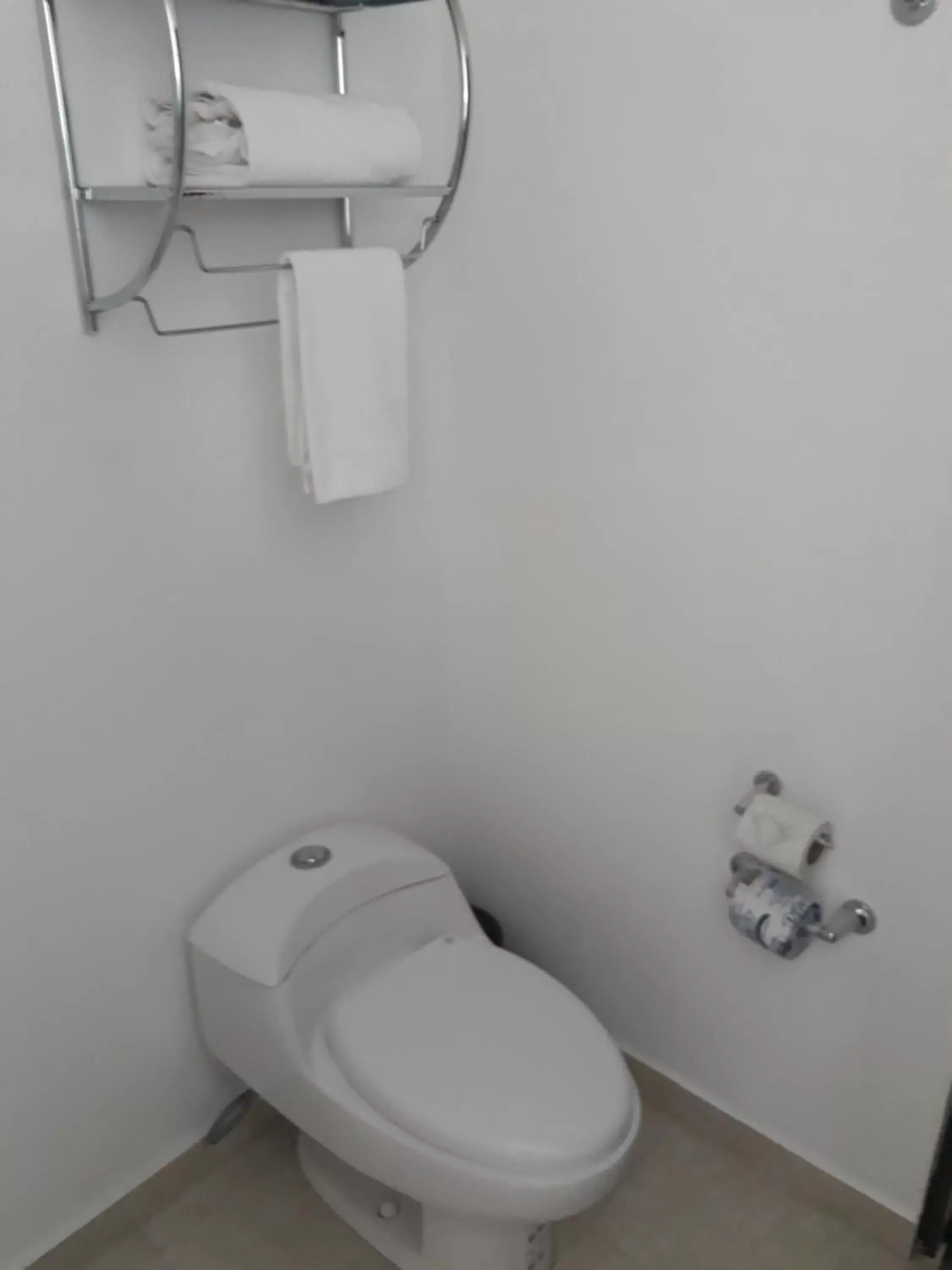Toilet, Bathroom in Hotel & Suites PF