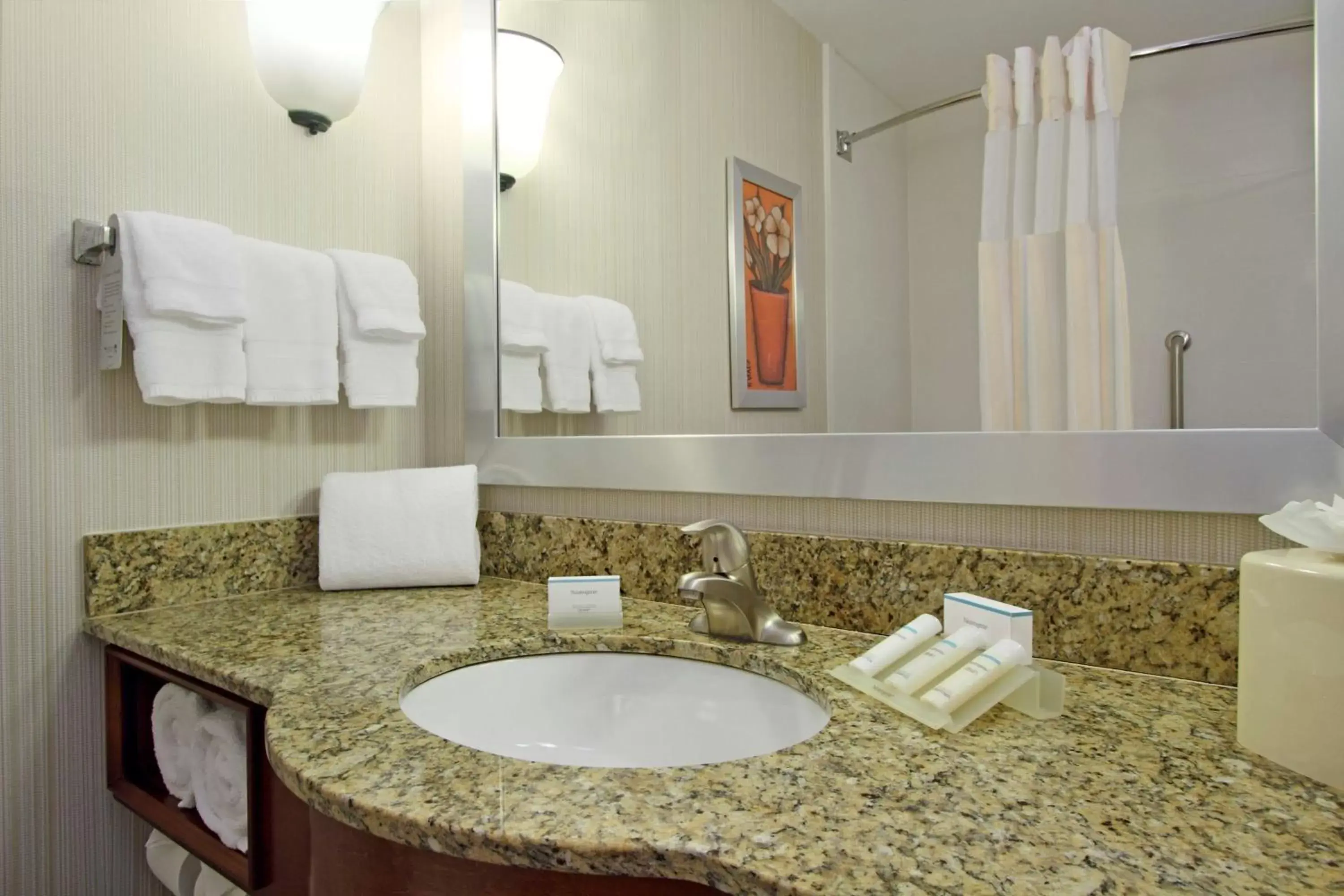 Bathroom in Hilton Garden Inn Columbus Airport