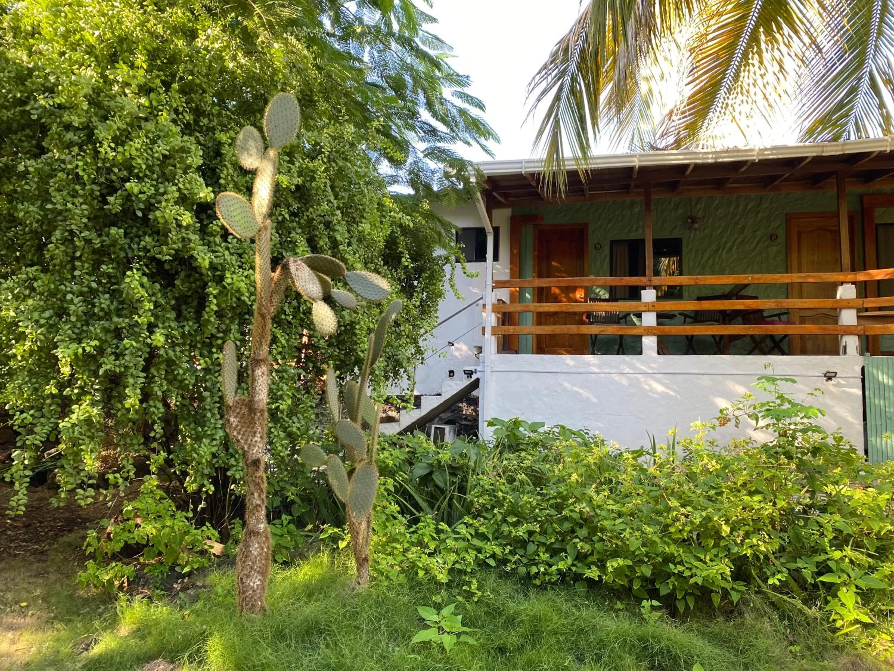 Balcony/Terrace in La Peregrina Galapagos B&B