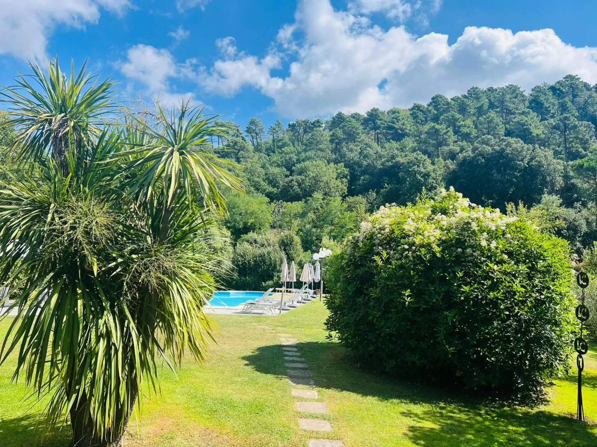 Garden in Hotel Monti