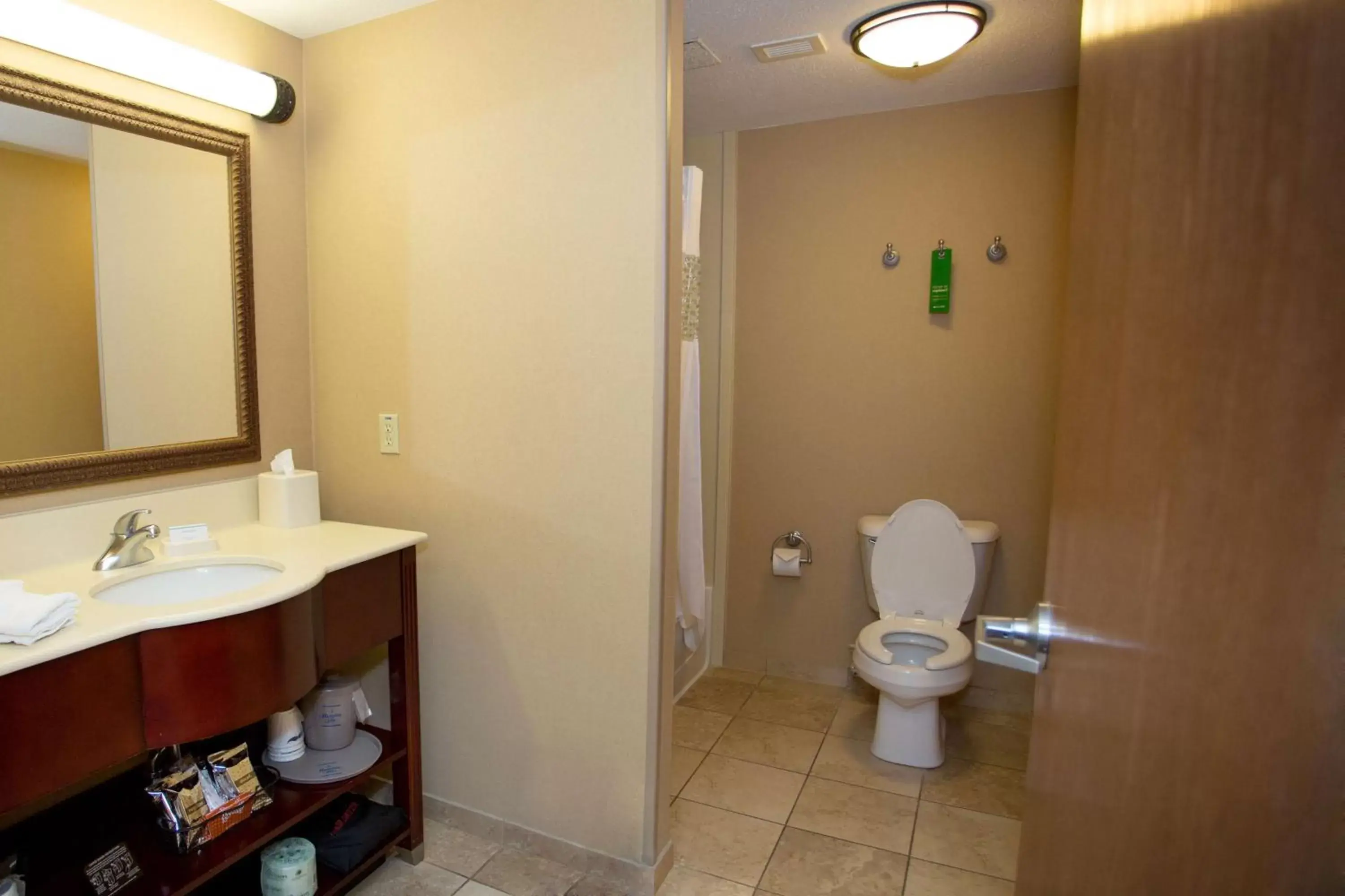 Bathroom in Hampton Inn Freeport