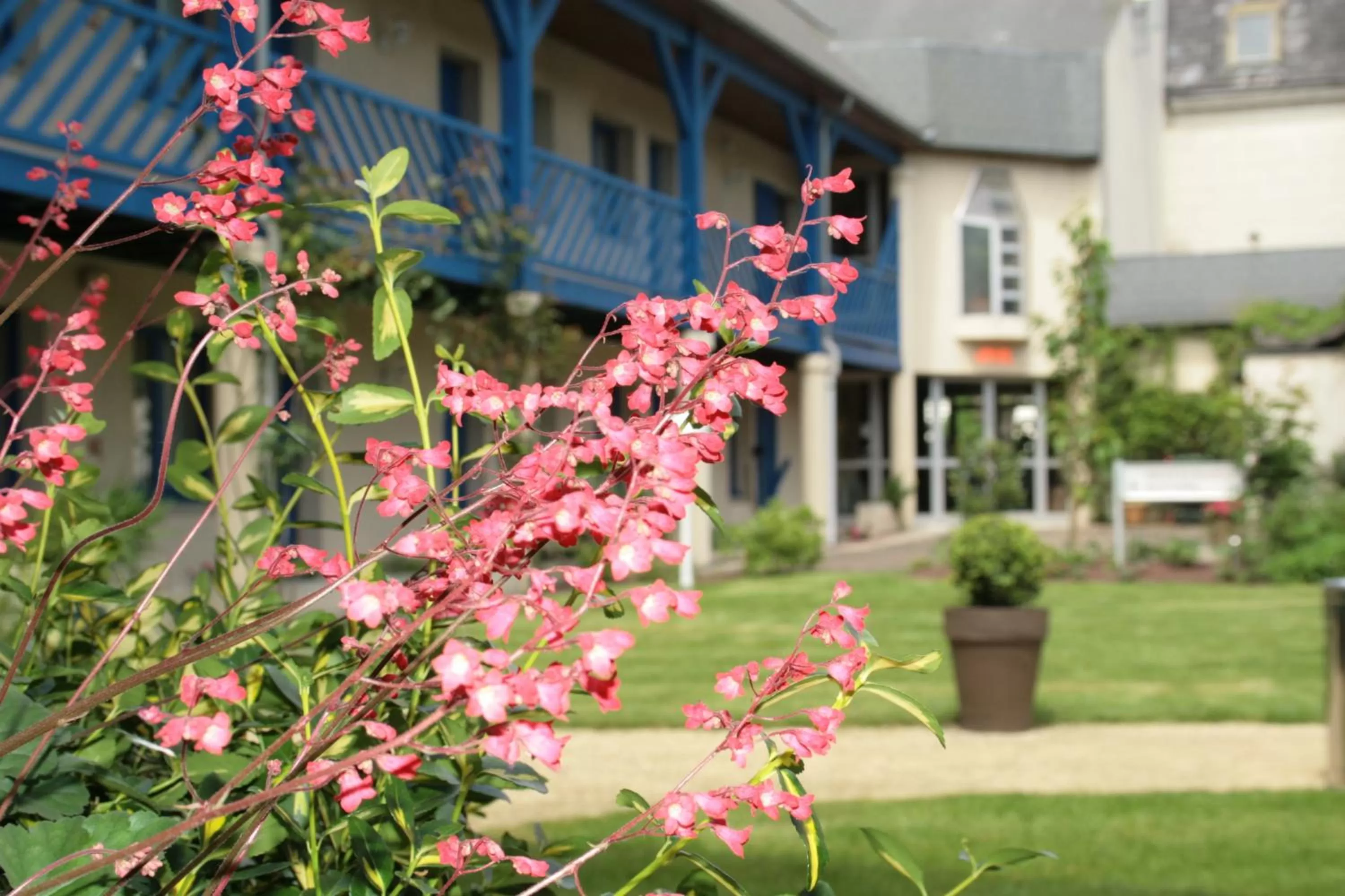 Garden in Cit'Hotel Capricorne