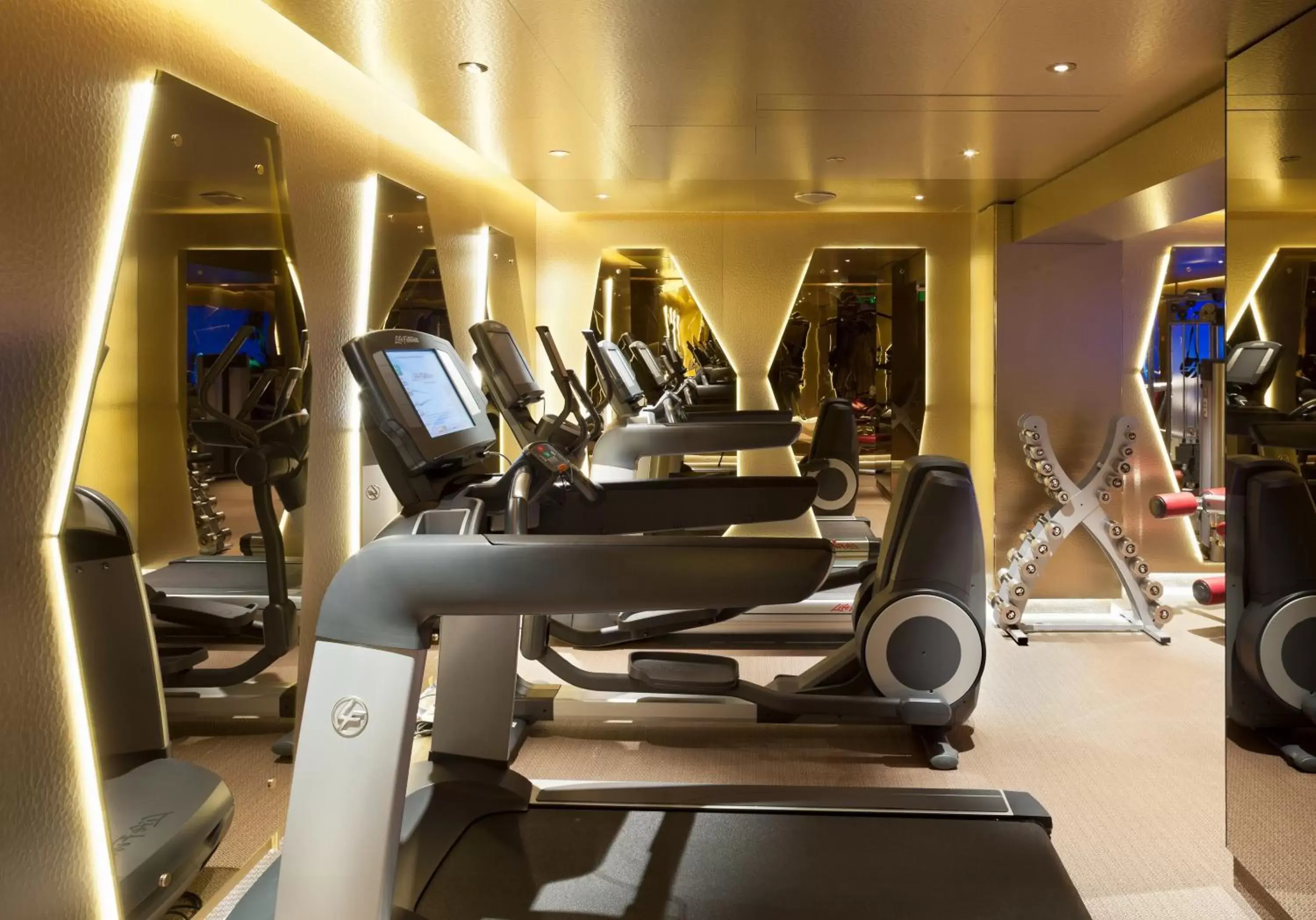 Fitness centre/facilities, Fitness Center/Facilities in New Hotel