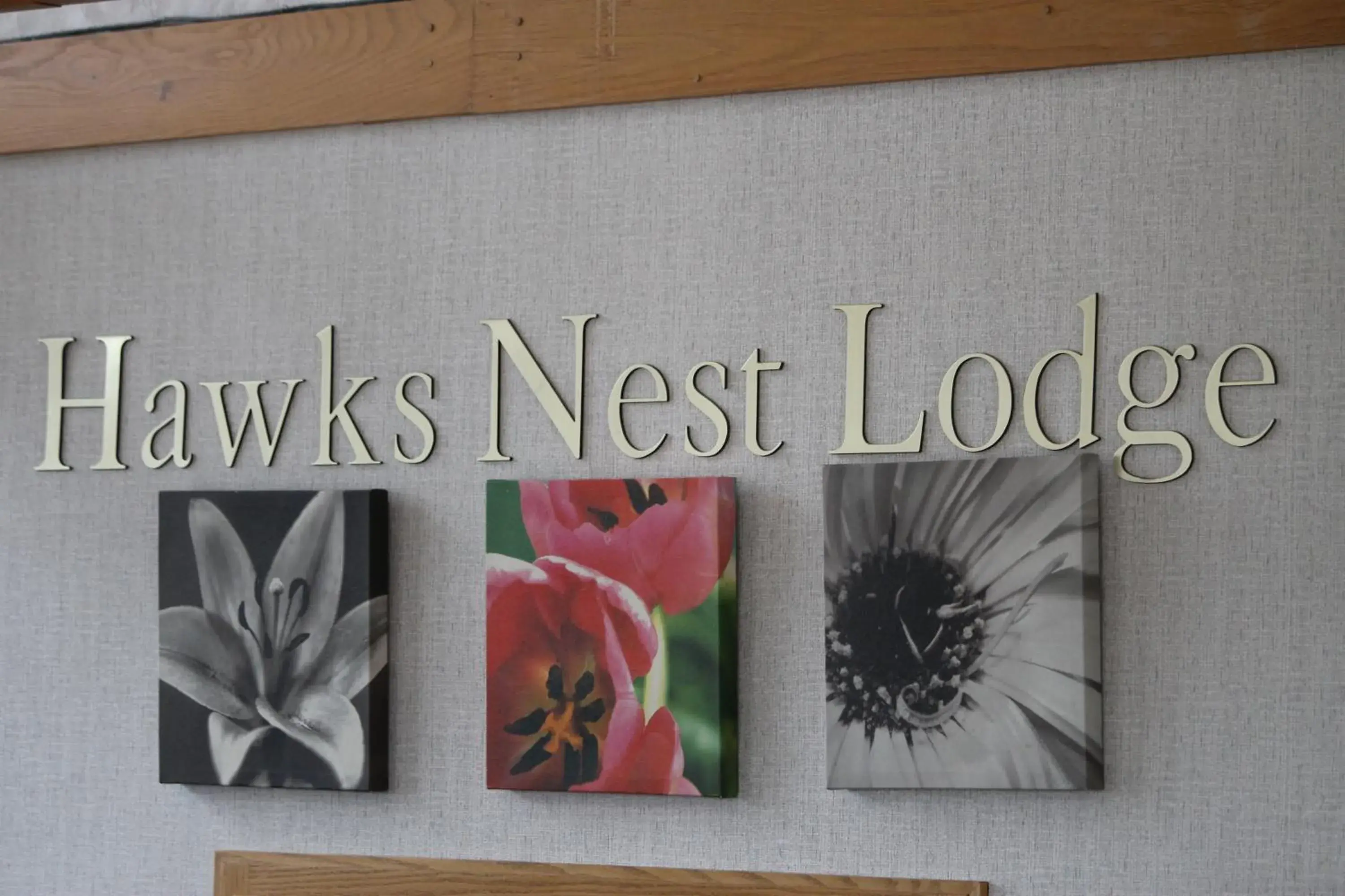 Lobby or reception, Property Logo/Sign in Hawk's Nest Lodge