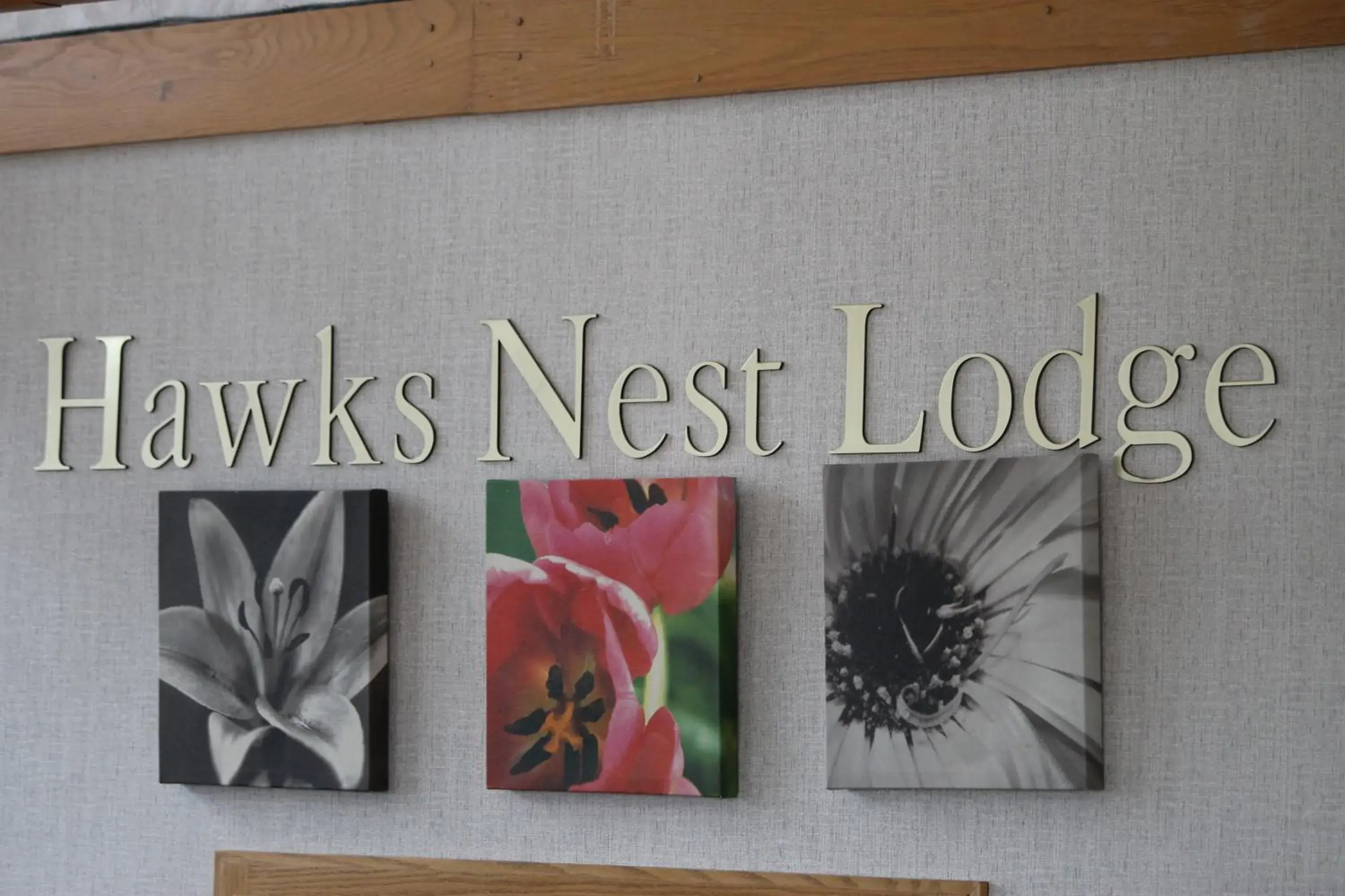 Lobby or reception in Hawk's Nest Lodge Lobby or reception in Hawk's Nest Lodge