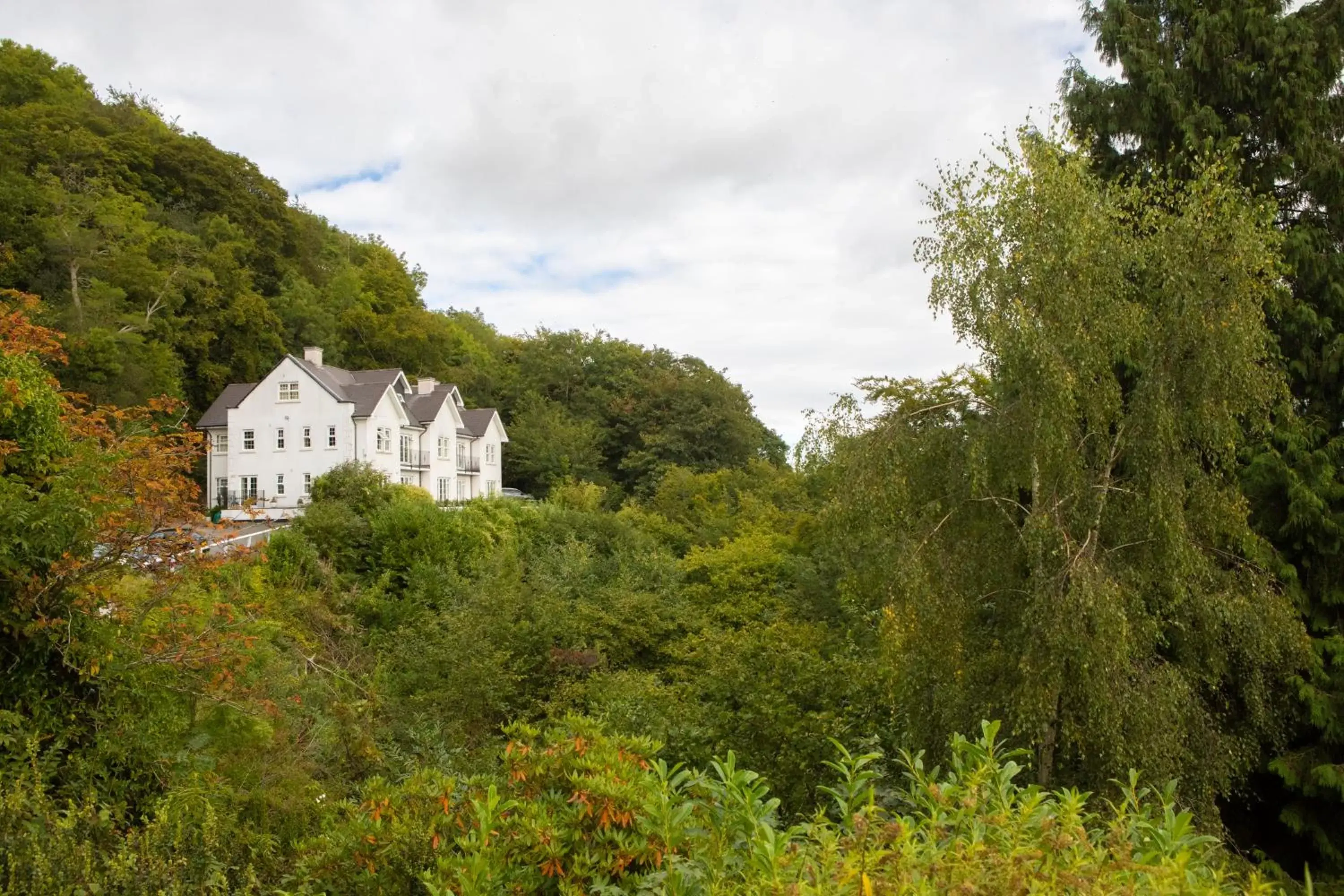 Property Building in Cottage In The Wood