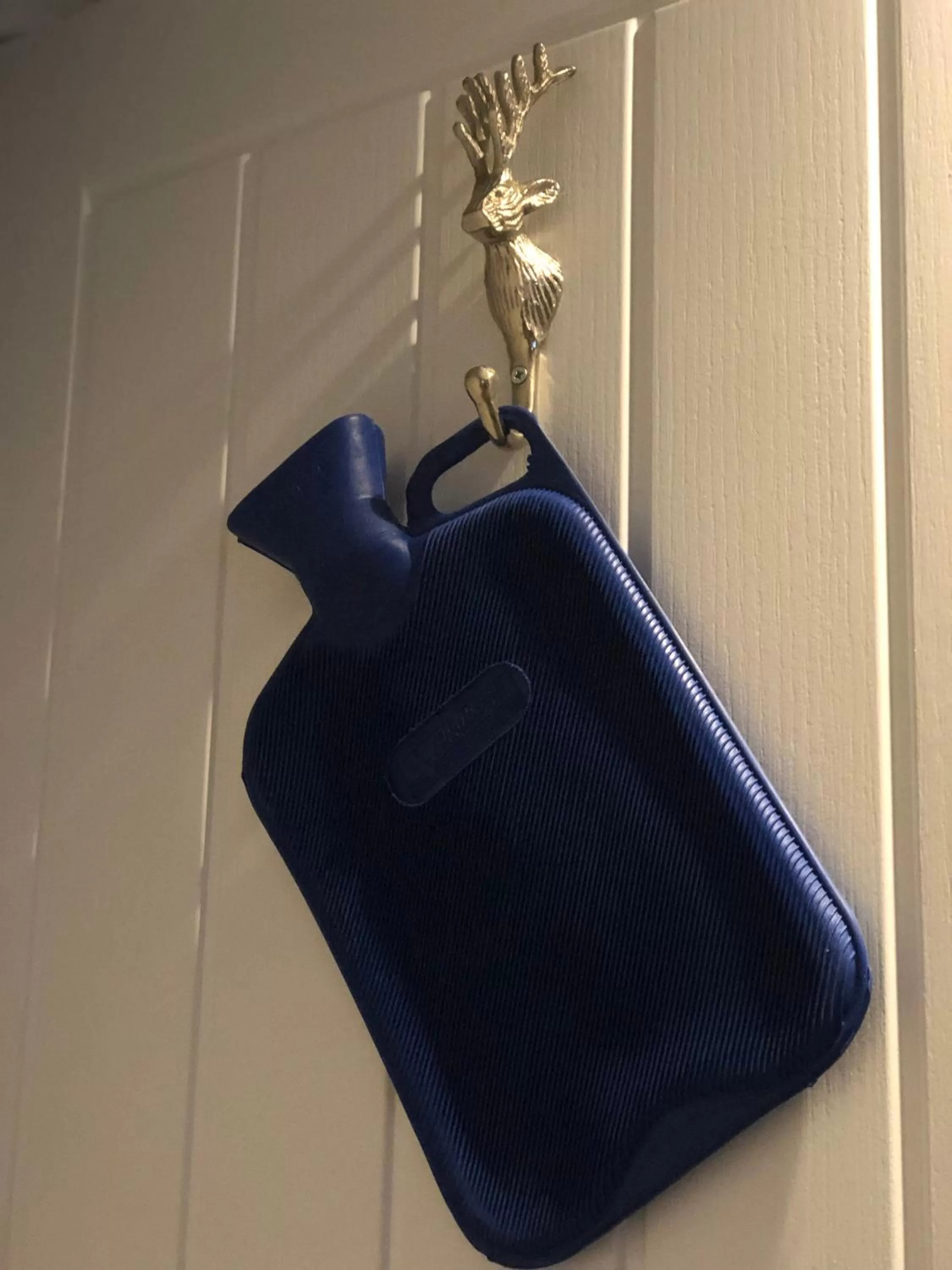 Area and facilities in Jorvik House