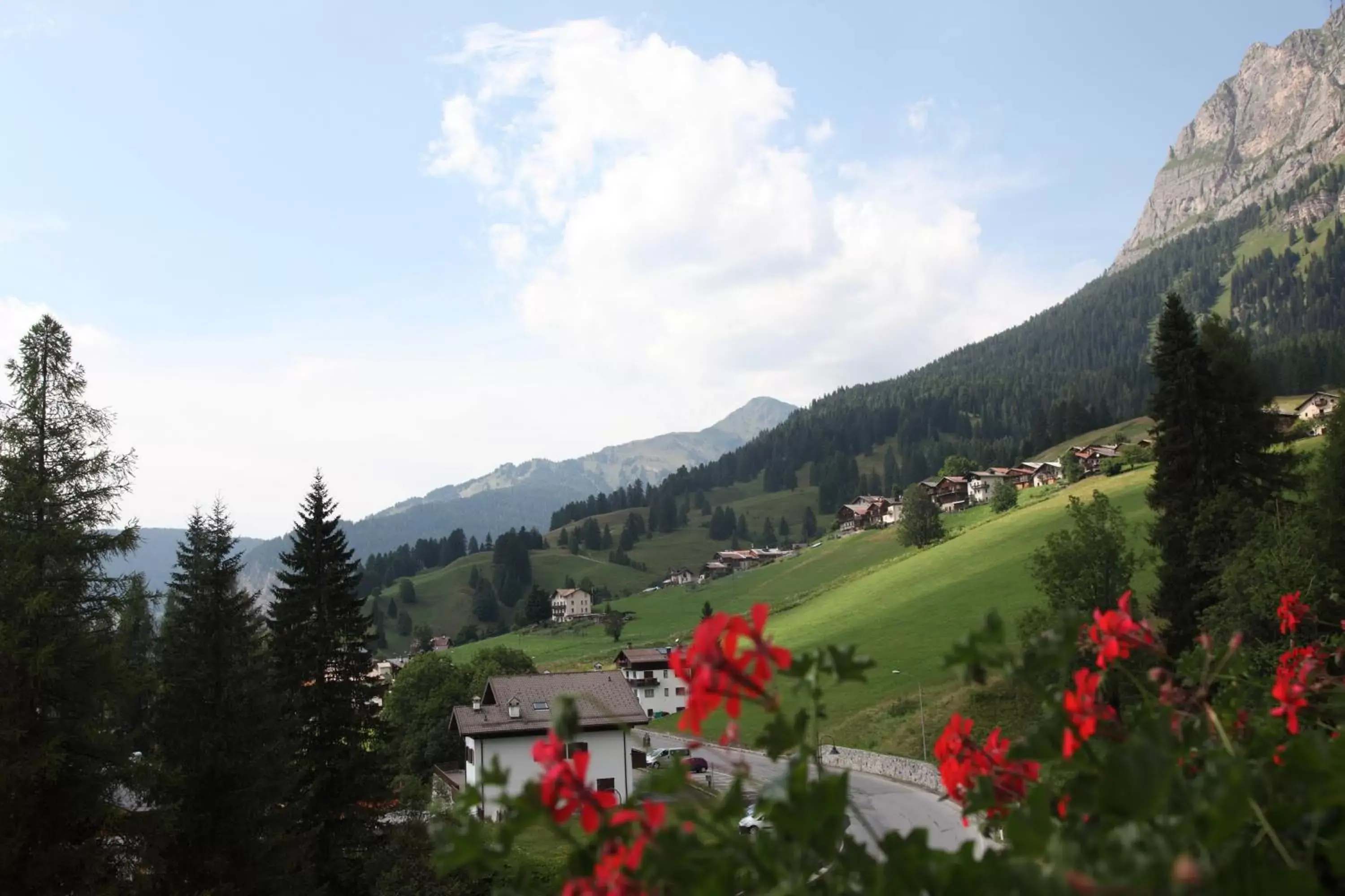 Mountain View in Hotel Nigritella