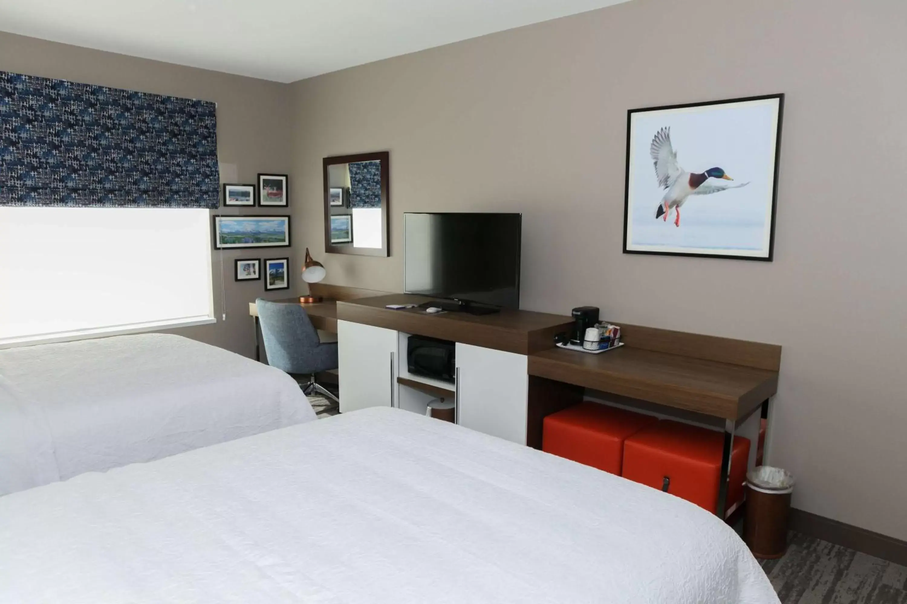 Bedroom, Bed in Hampton Inn & Suites Lafayette