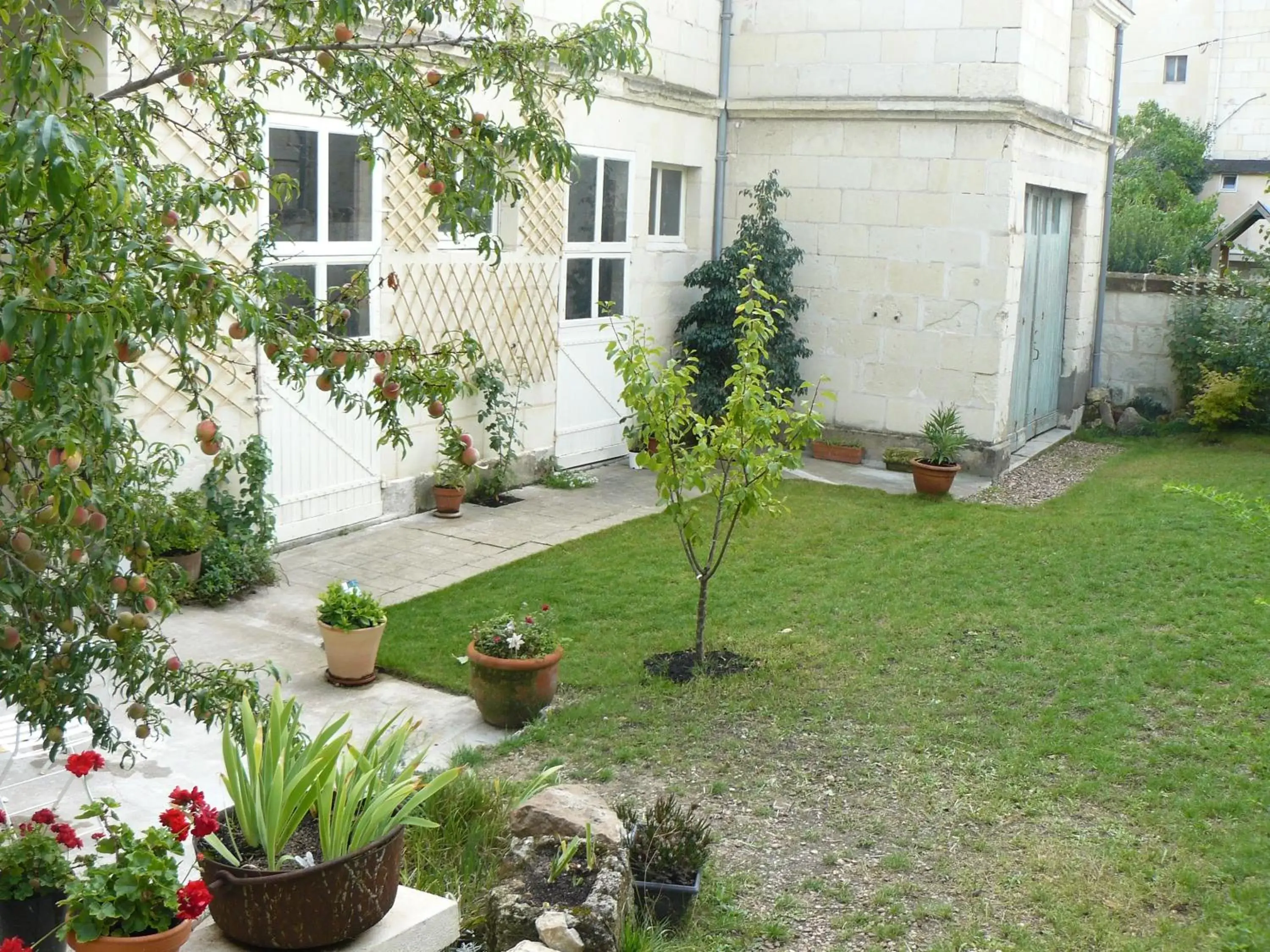 Garden in La Maison de Saumur