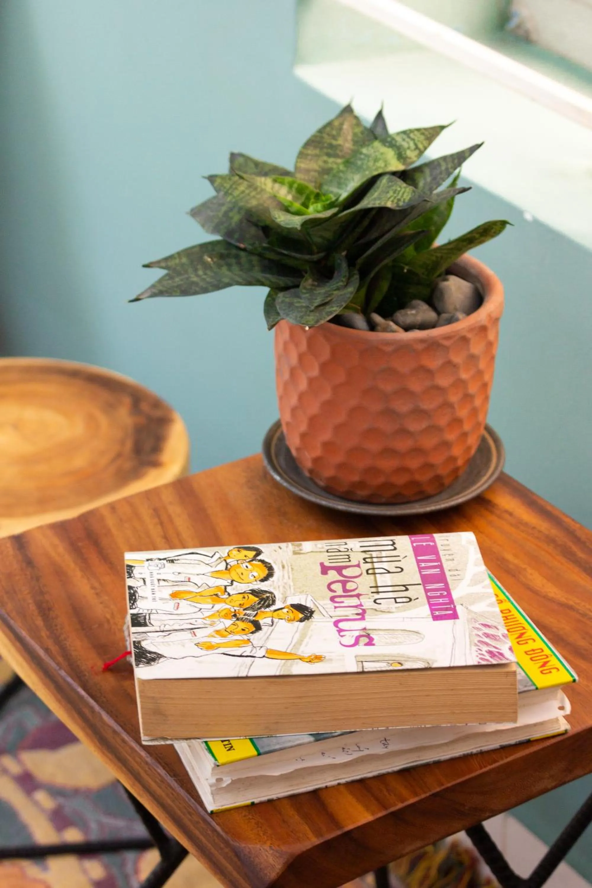 Decorative detail in Coucou Homestead I - Homestay & Dorm District 1