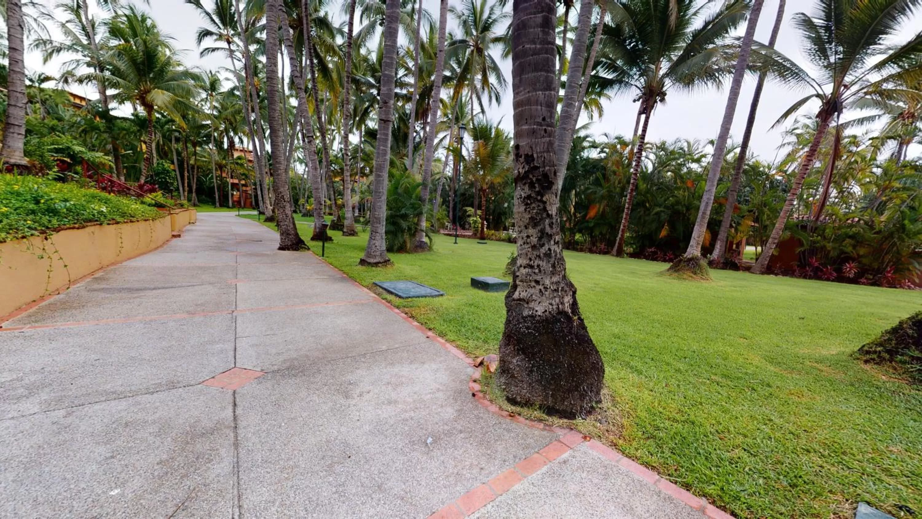 Natural landscape in Park Royal Homestay Los Tules Puerto Vallarta