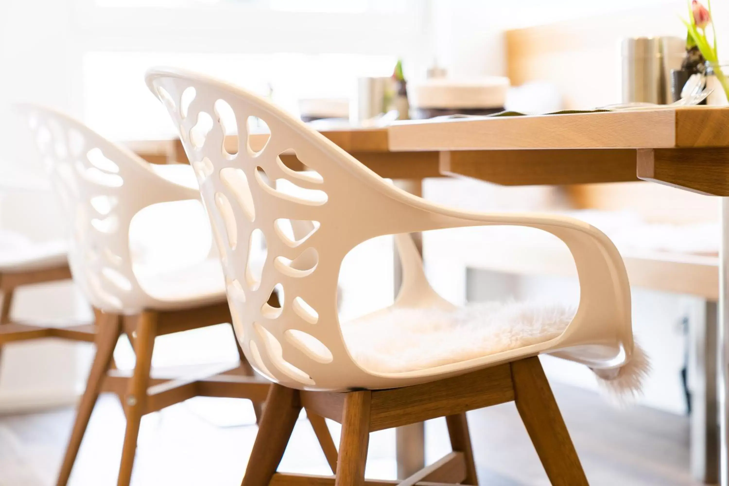 Villa Flöckner Bed & Breakfast Villa Flöckner Bed & Breakfast