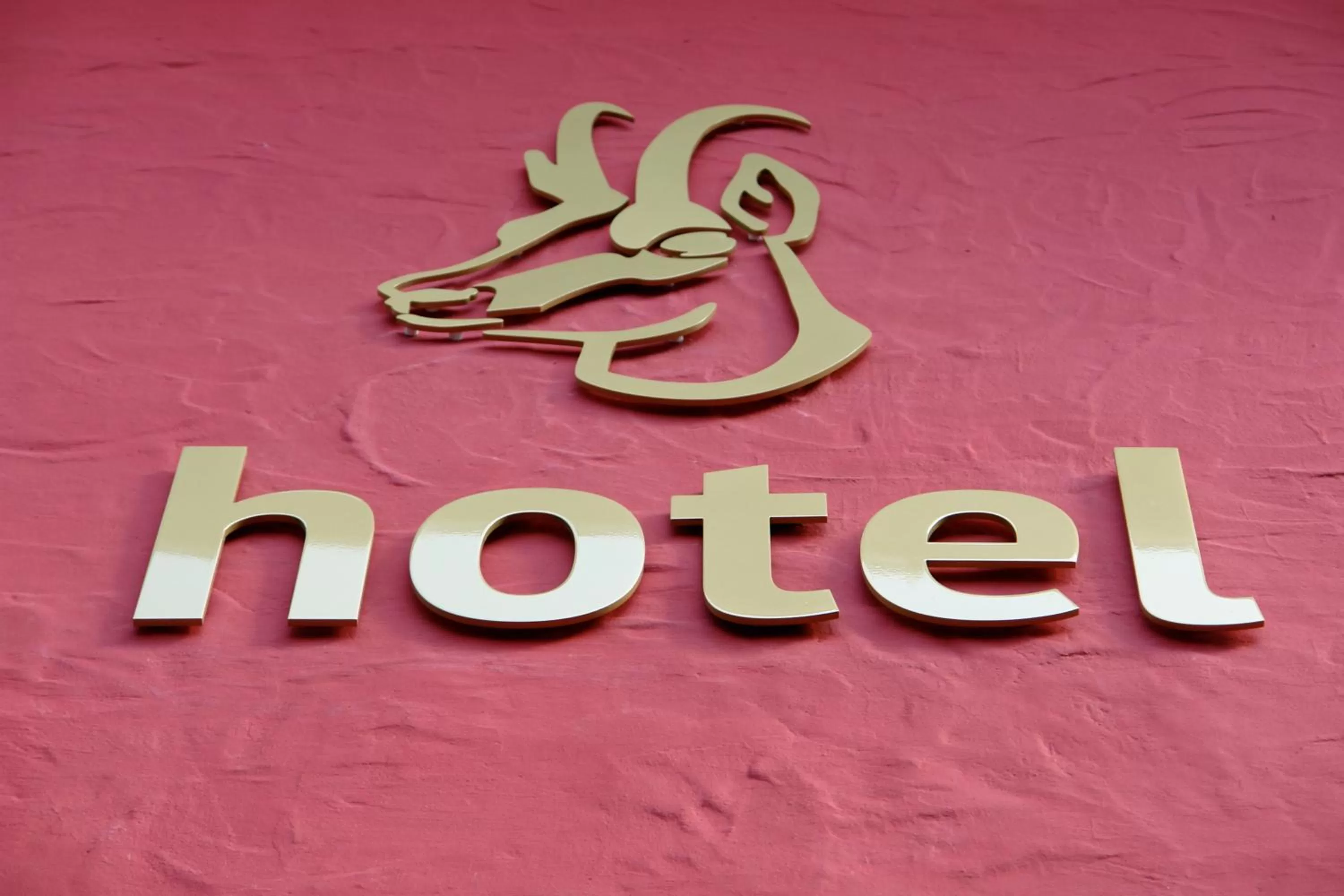 Property building in Hotel Gamshof