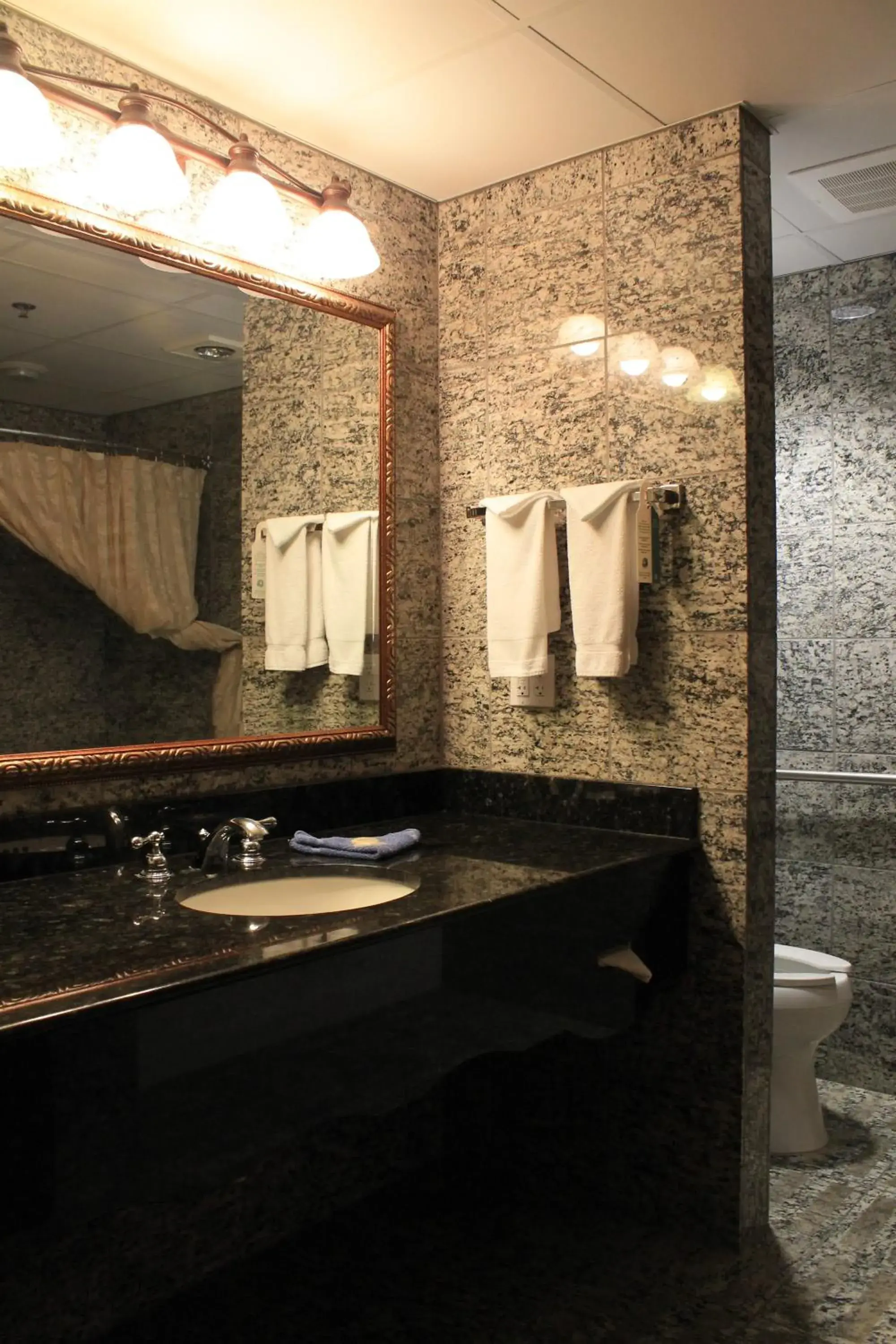 Bathroom in Rushmore Express & Suites