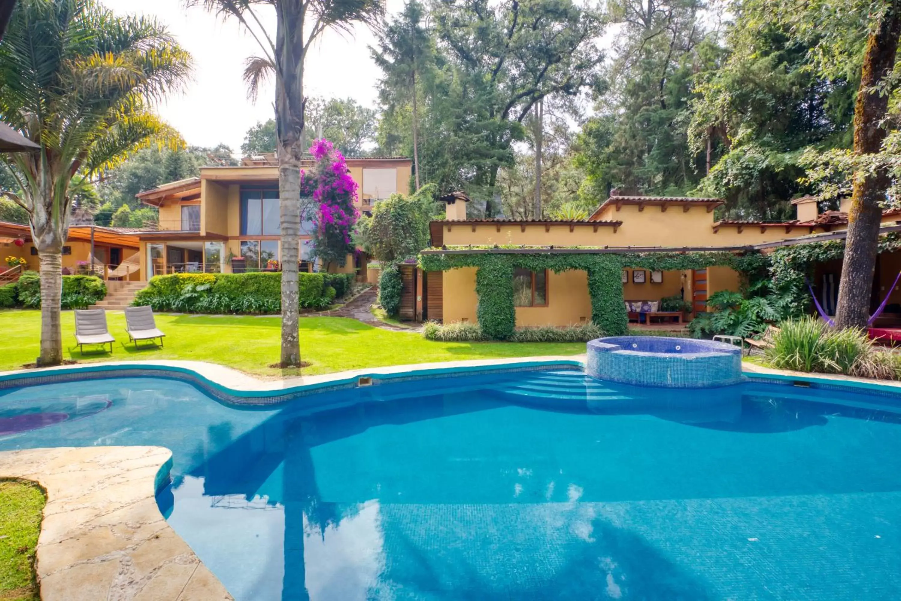 Garden view, Swimming Pool in La Joya del Viento