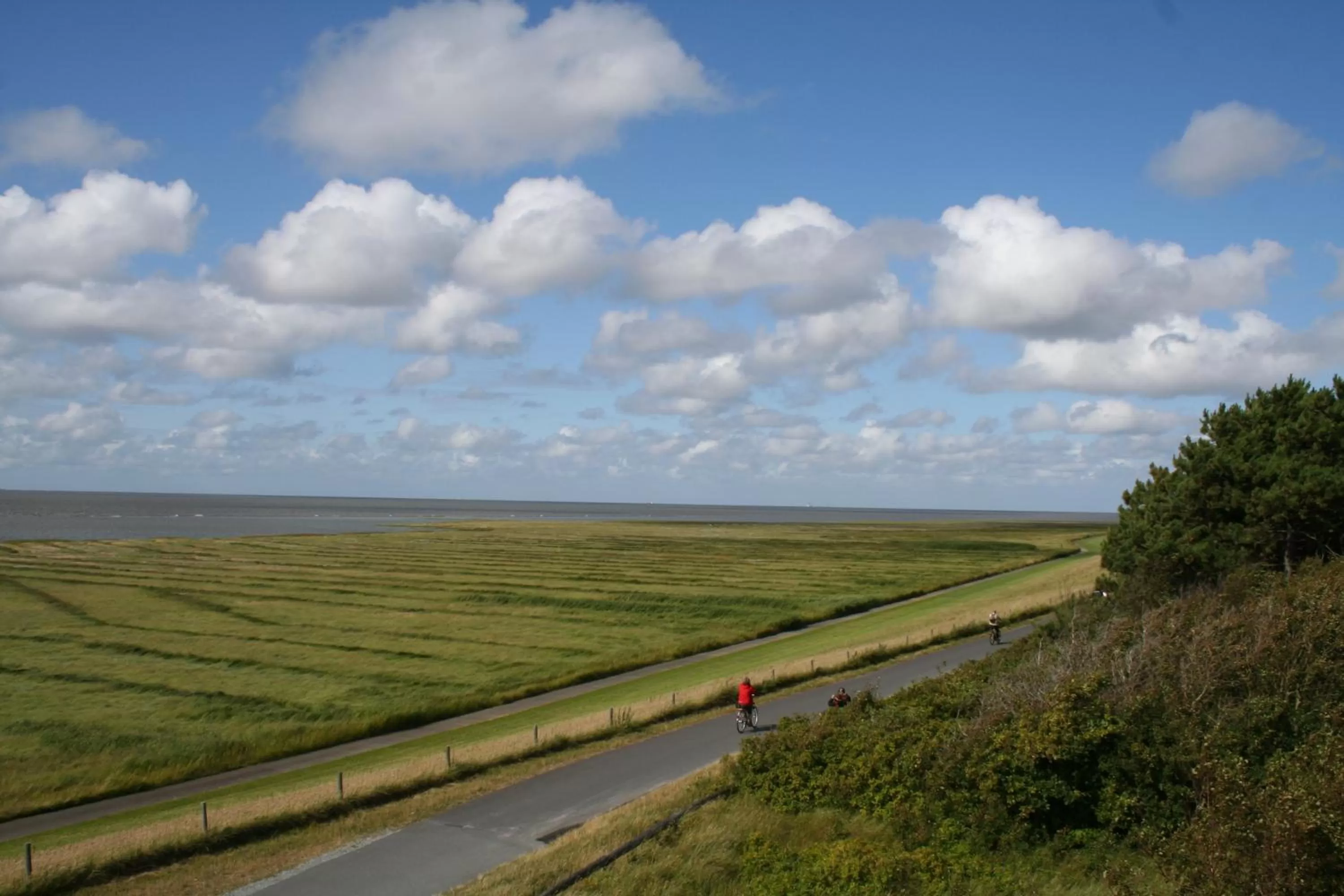 Area and facilities in Aparthotel Am Meer