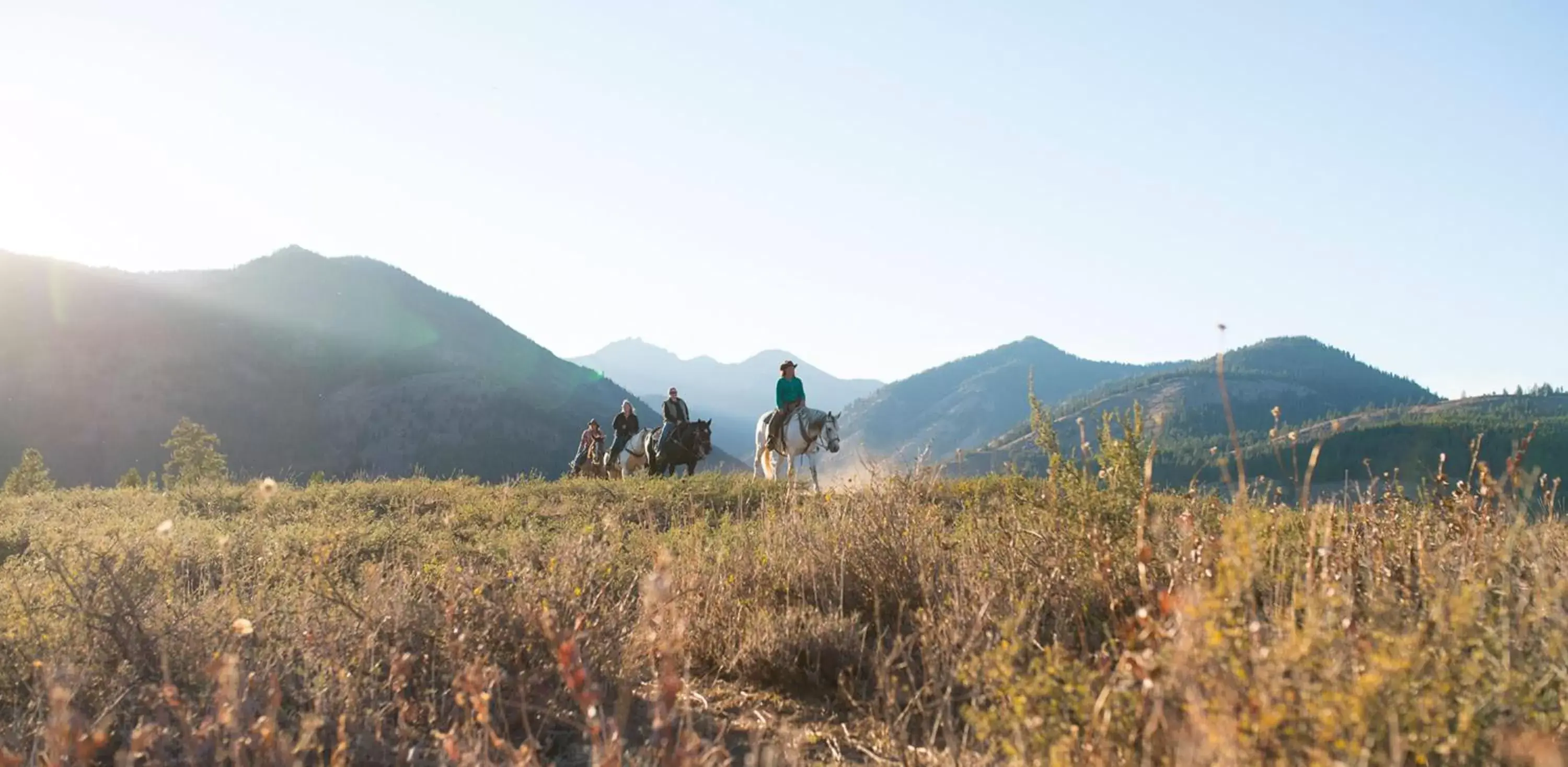 Horse-riding, Mountain View in Sun Mountain Lodge