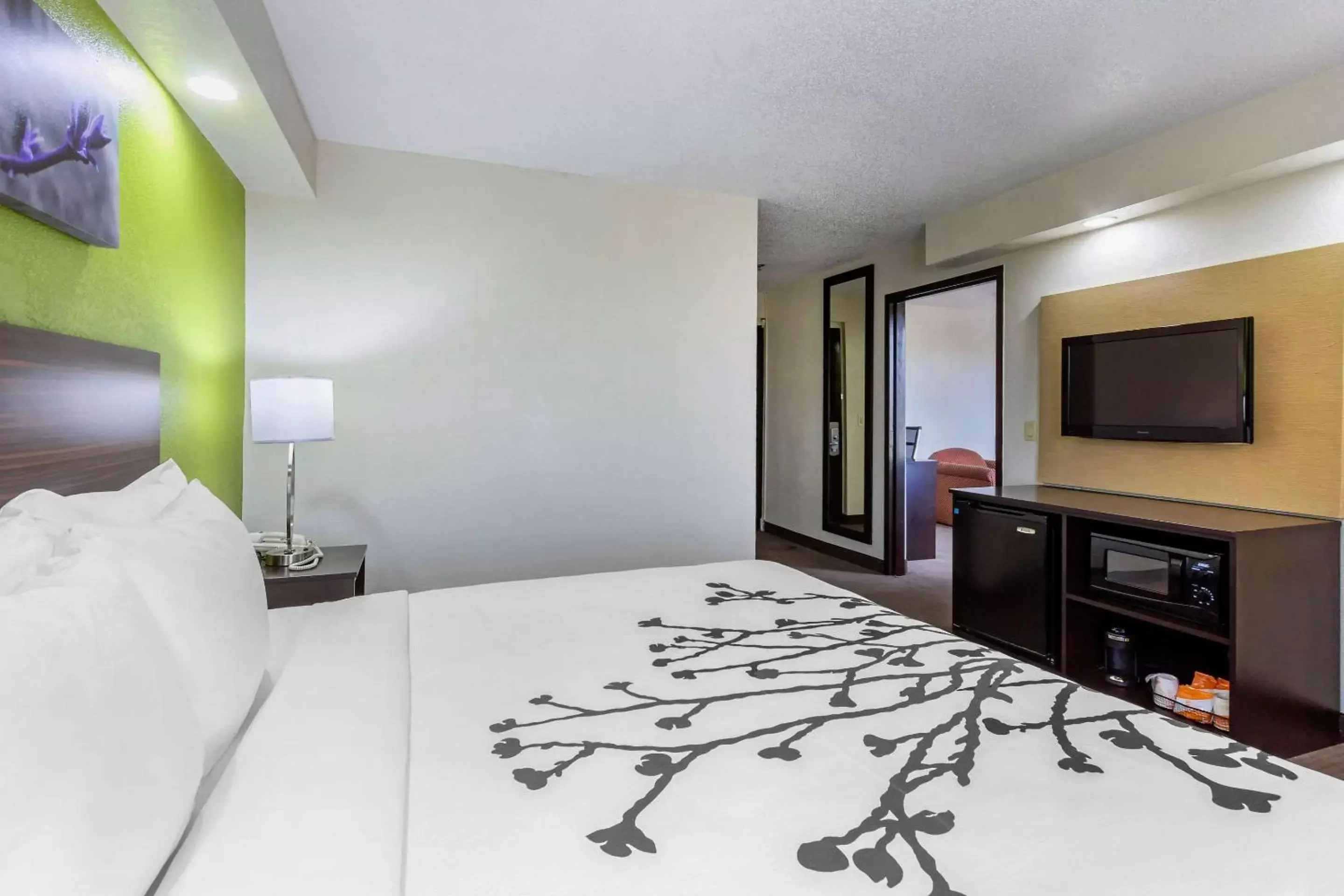 Photo of the whole room, Bed in Sleep Inn near Busch Gardens - USF